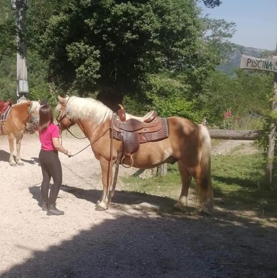 Animals in Monte Termine Country House