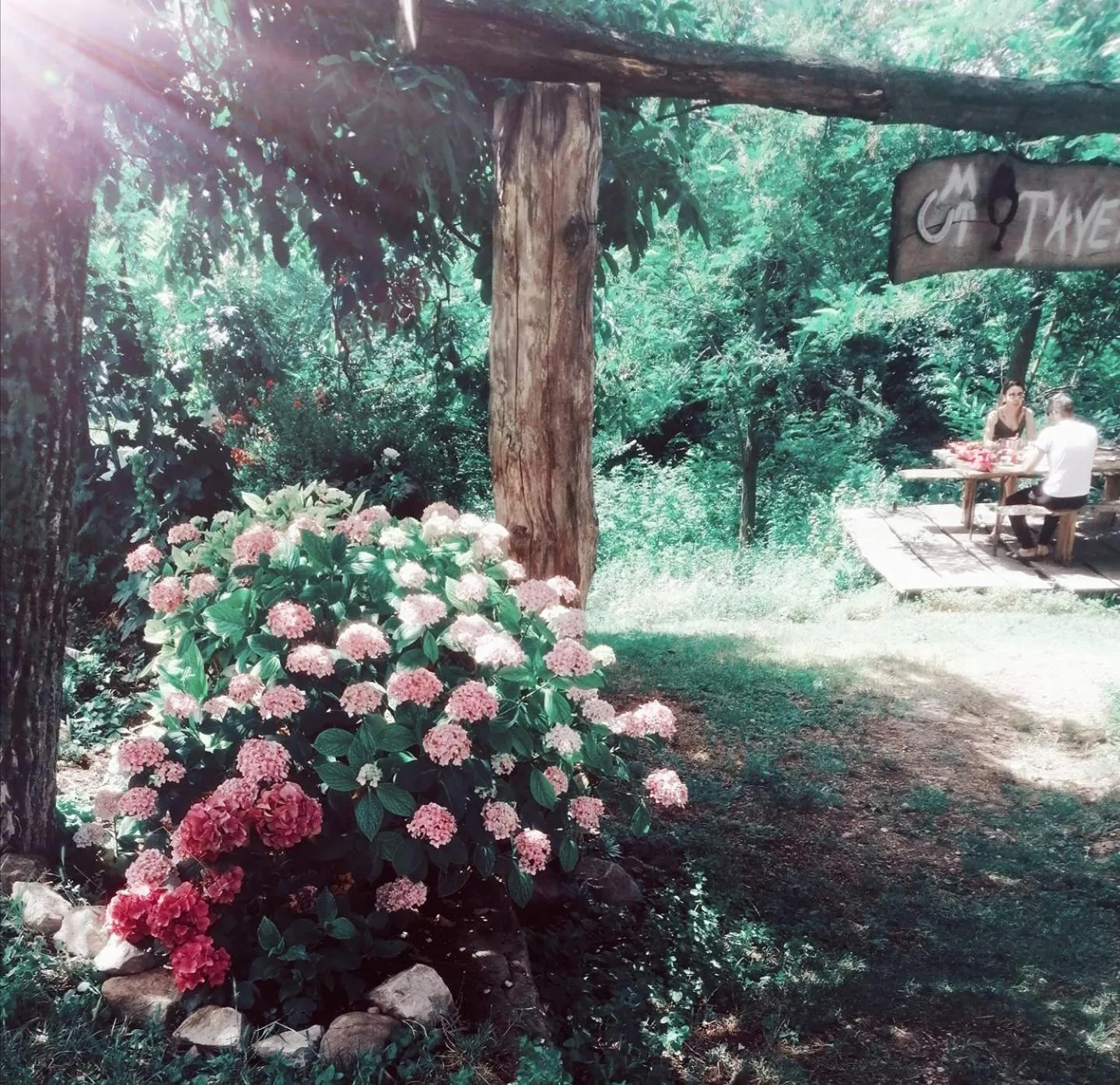 Monte Termine Country House