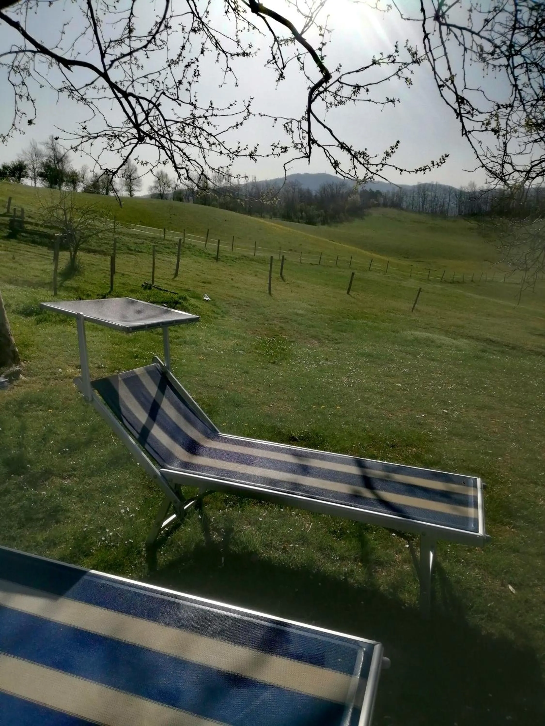 Garden in Monte Termine Country House