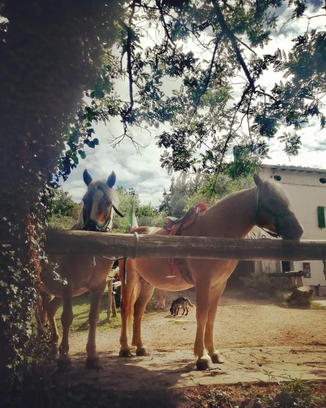 Monte Termine Country House