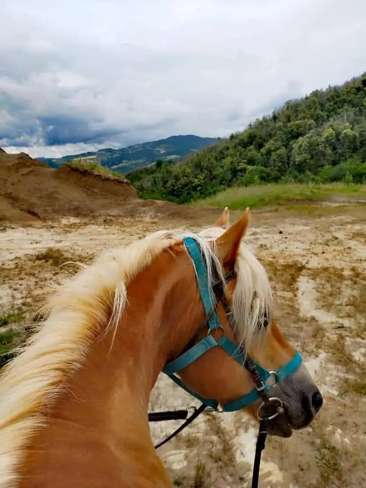 Horse-riding in Monte Termine Country House