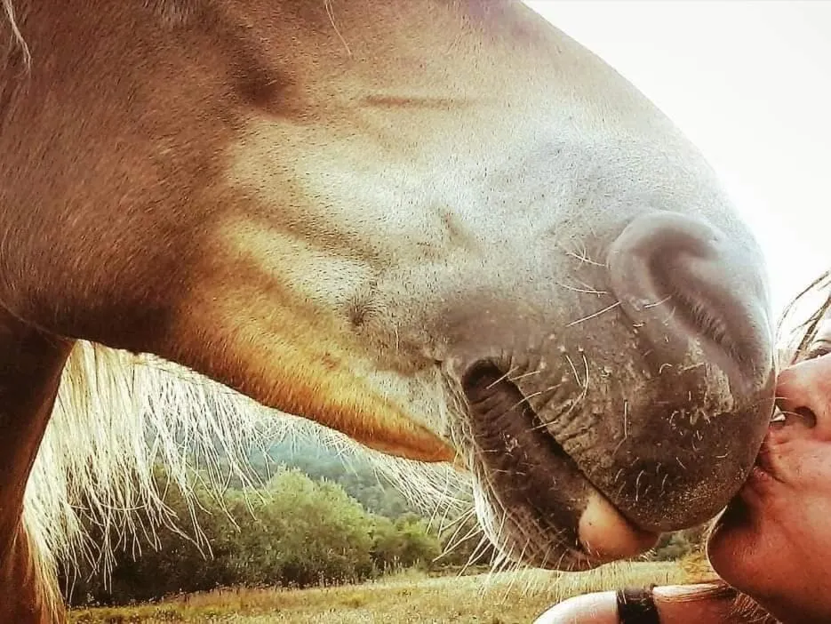 Monte Termine Country House