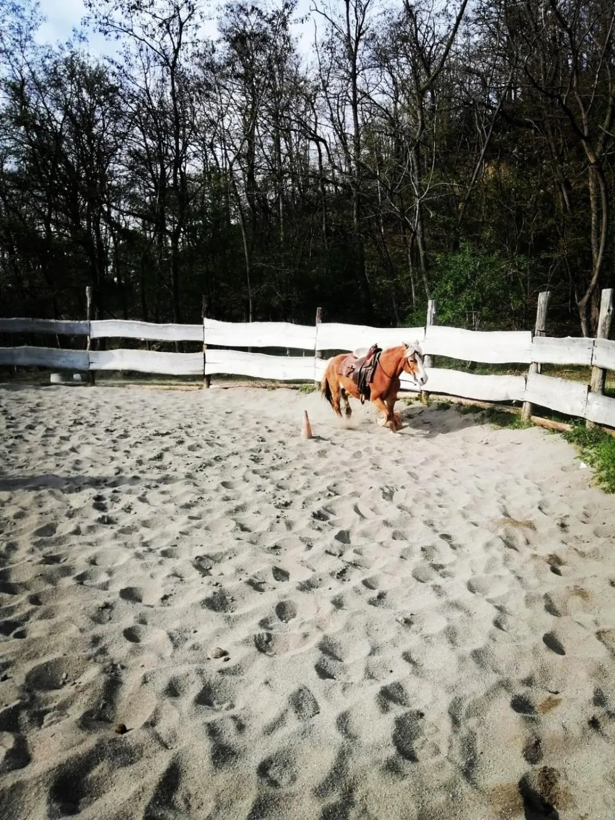 Monte Termine Country House