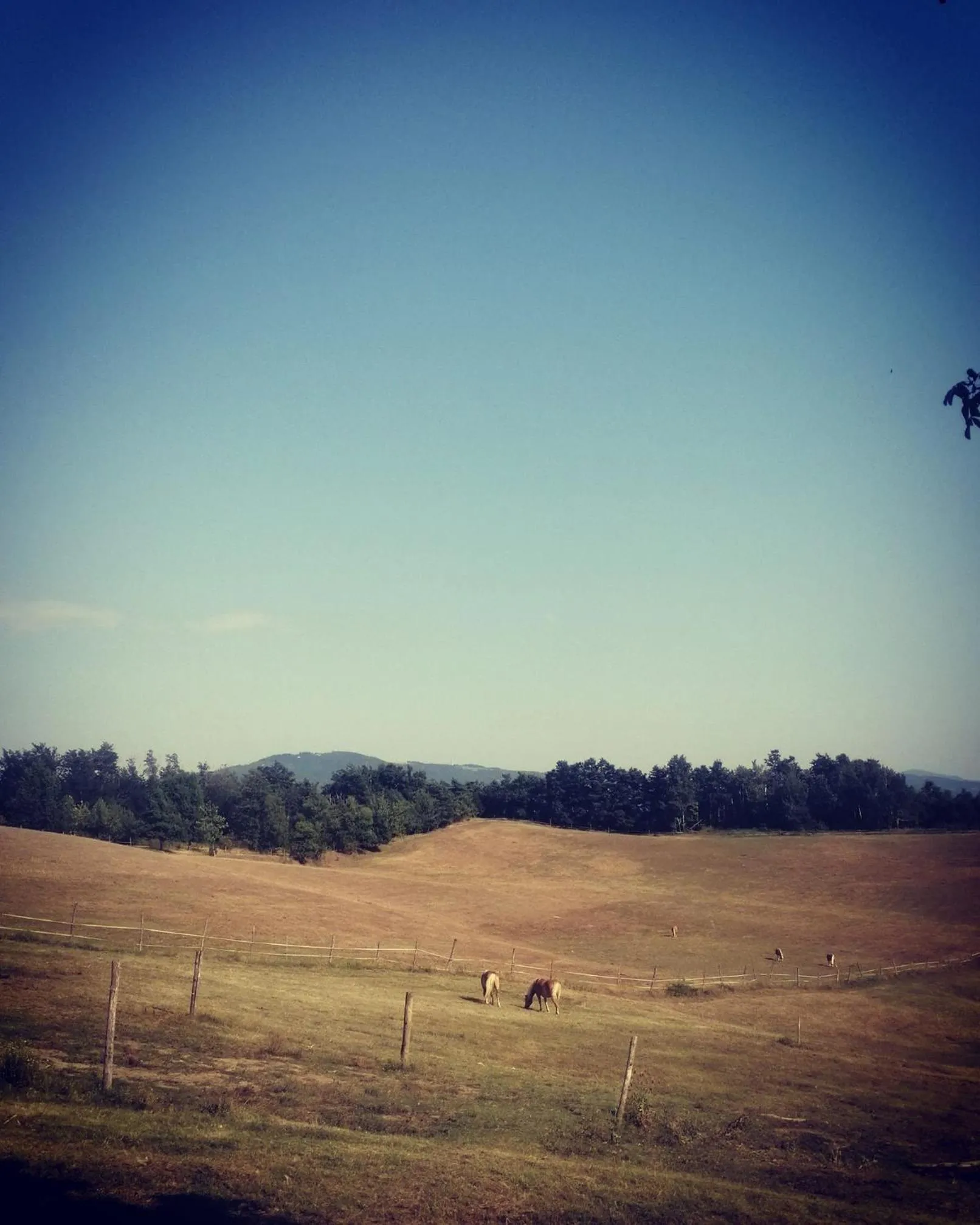 Monte Termine Country House