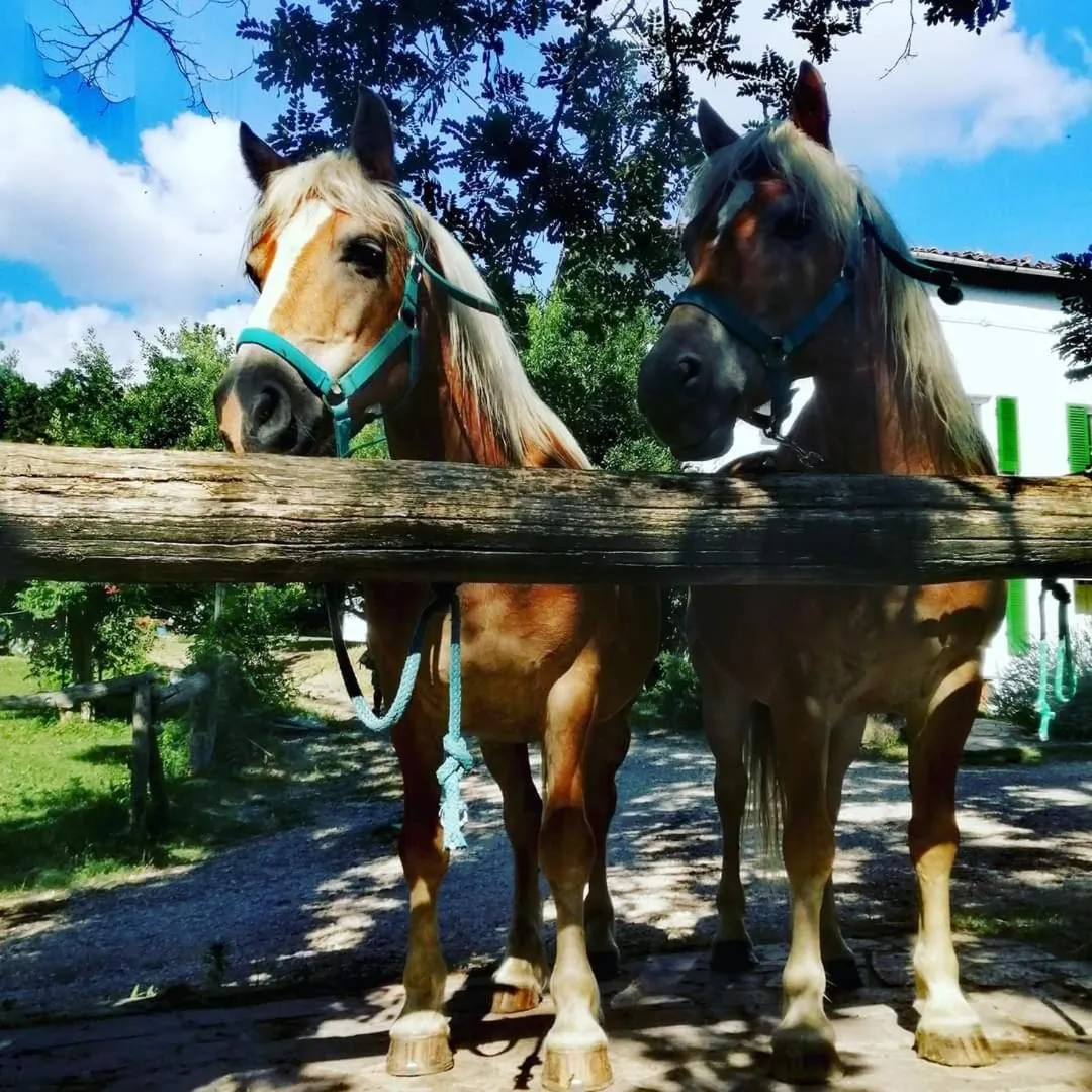 Horse-riding in Monte Termine Country House