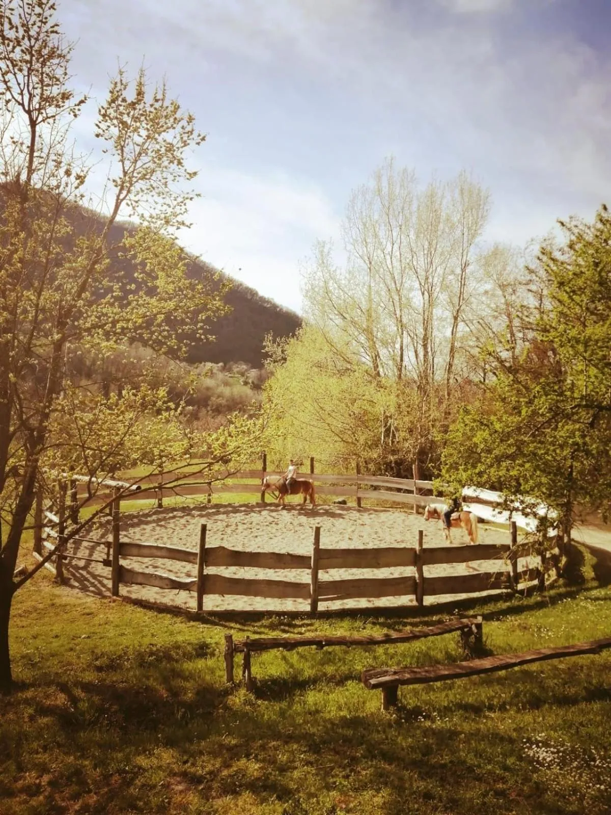 Monte Termine Country House