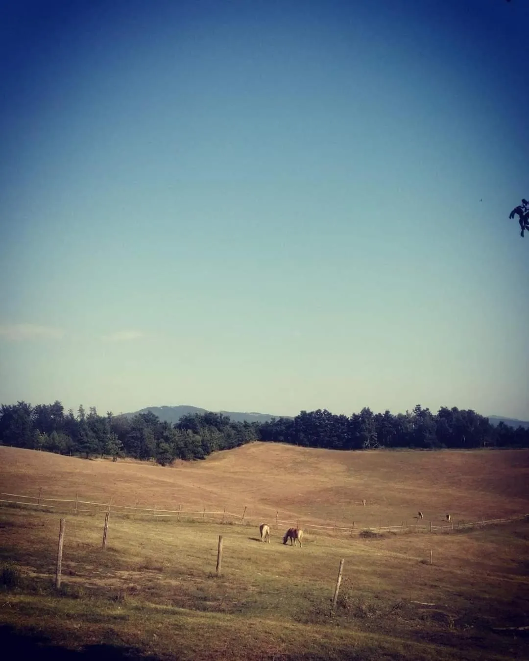 Monte Termine Country House