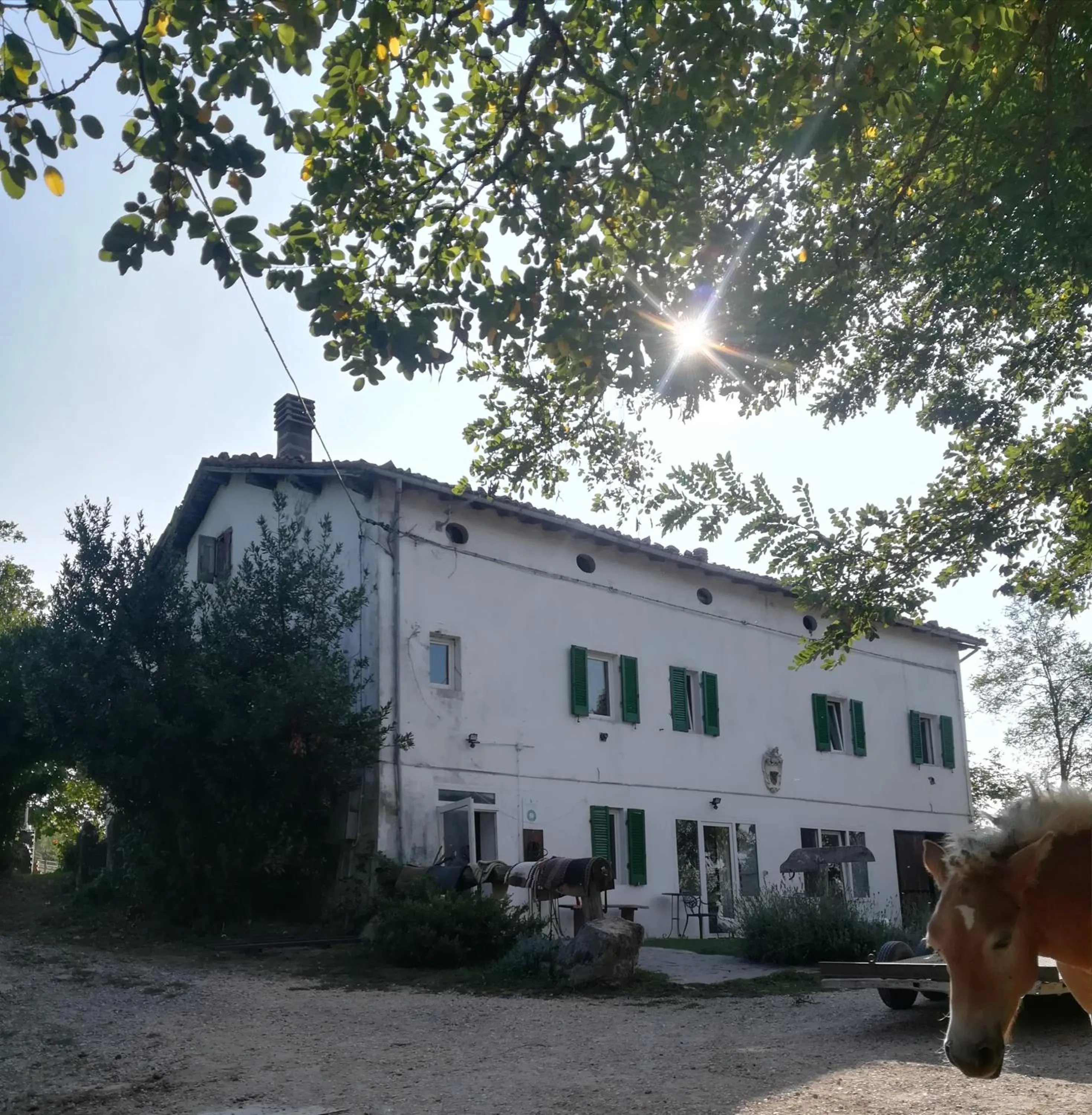 Property building in Monte Termine Country House