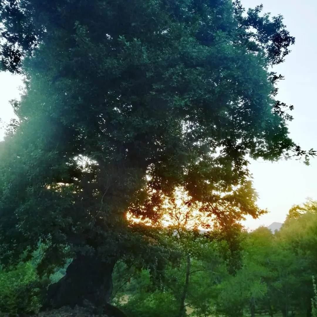 Monte Termine Country House