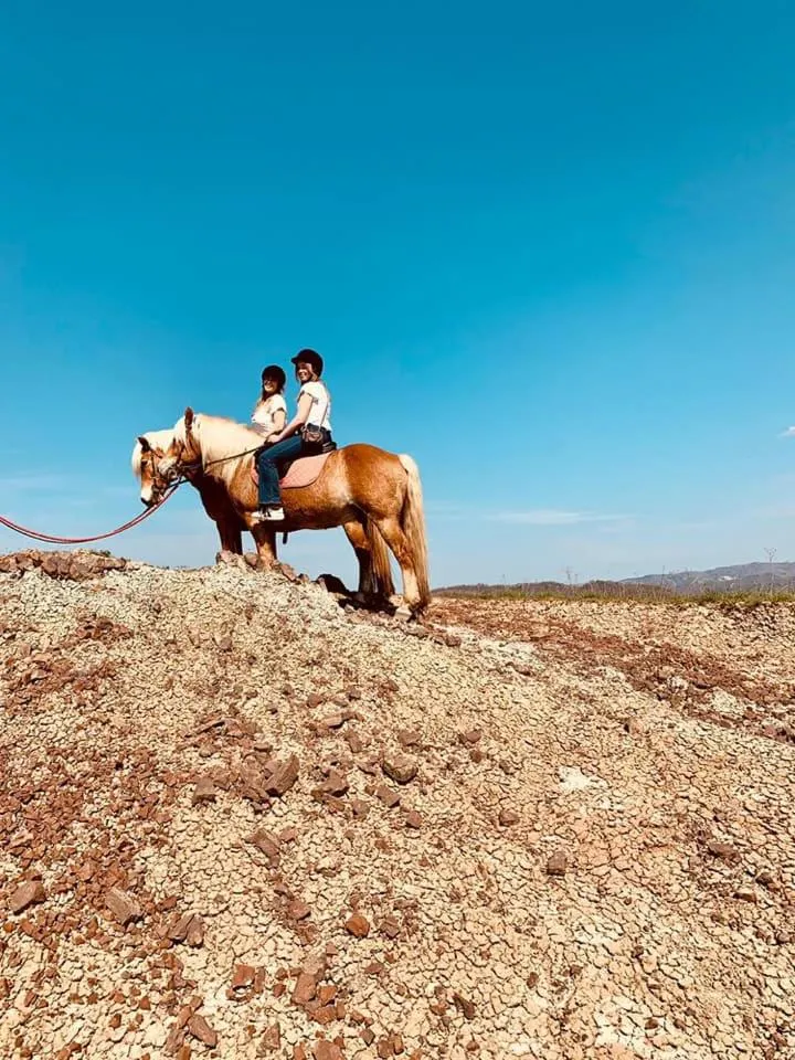 Monte Termine Country House