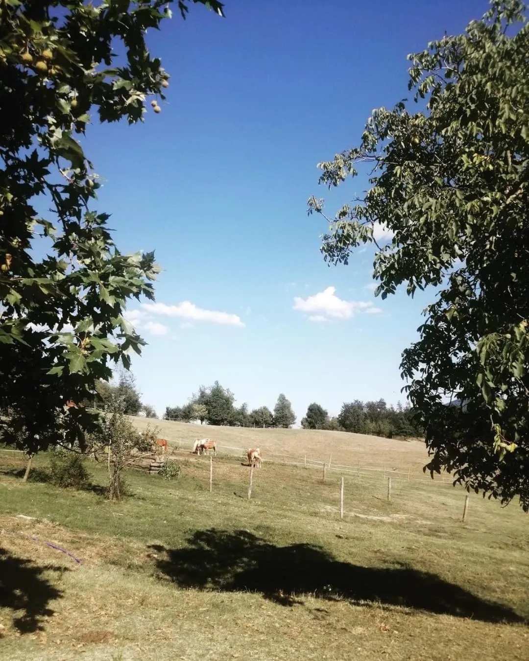 Monte Termine Country House