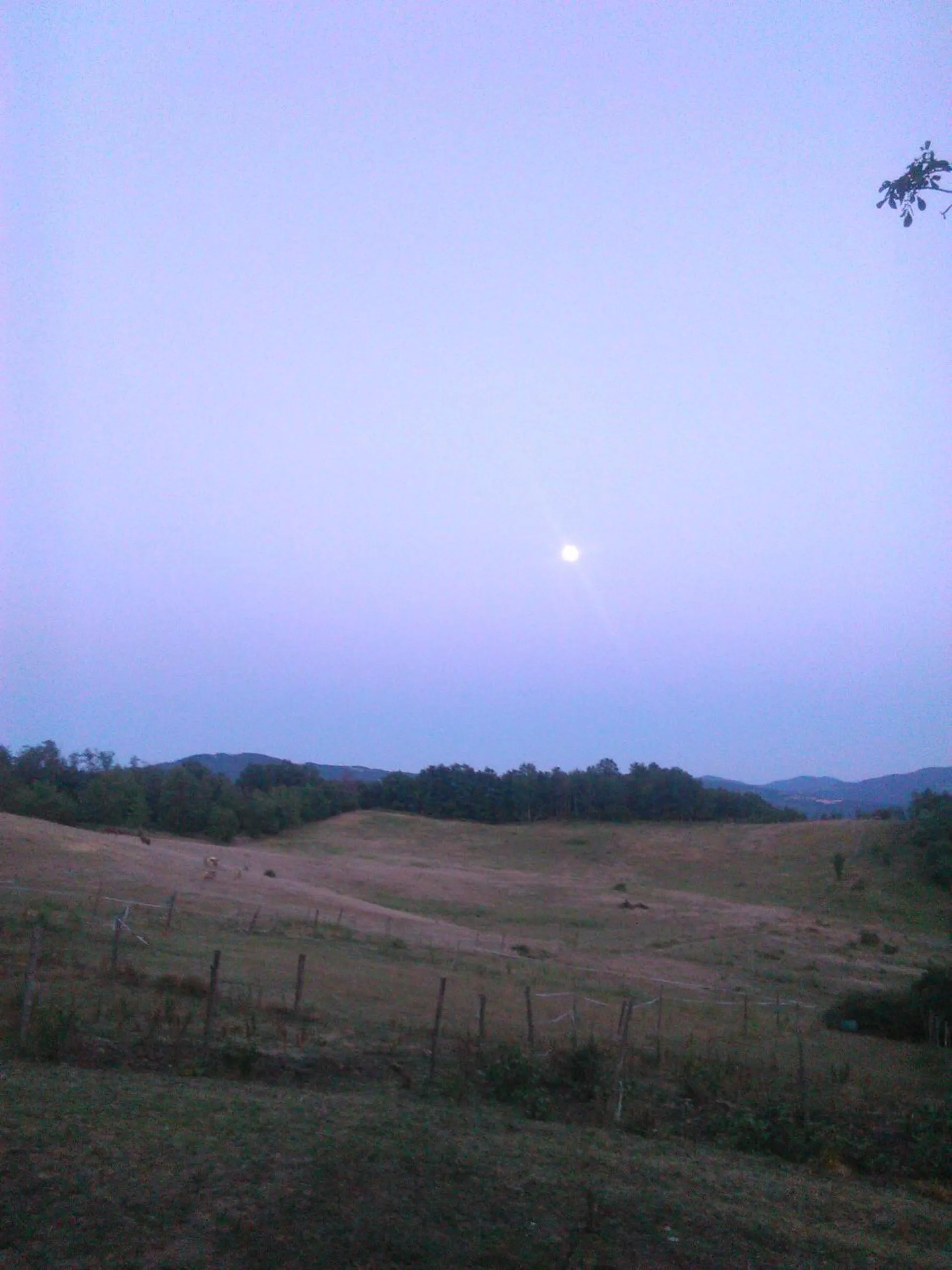 Garden view in Monte Termine Country House
