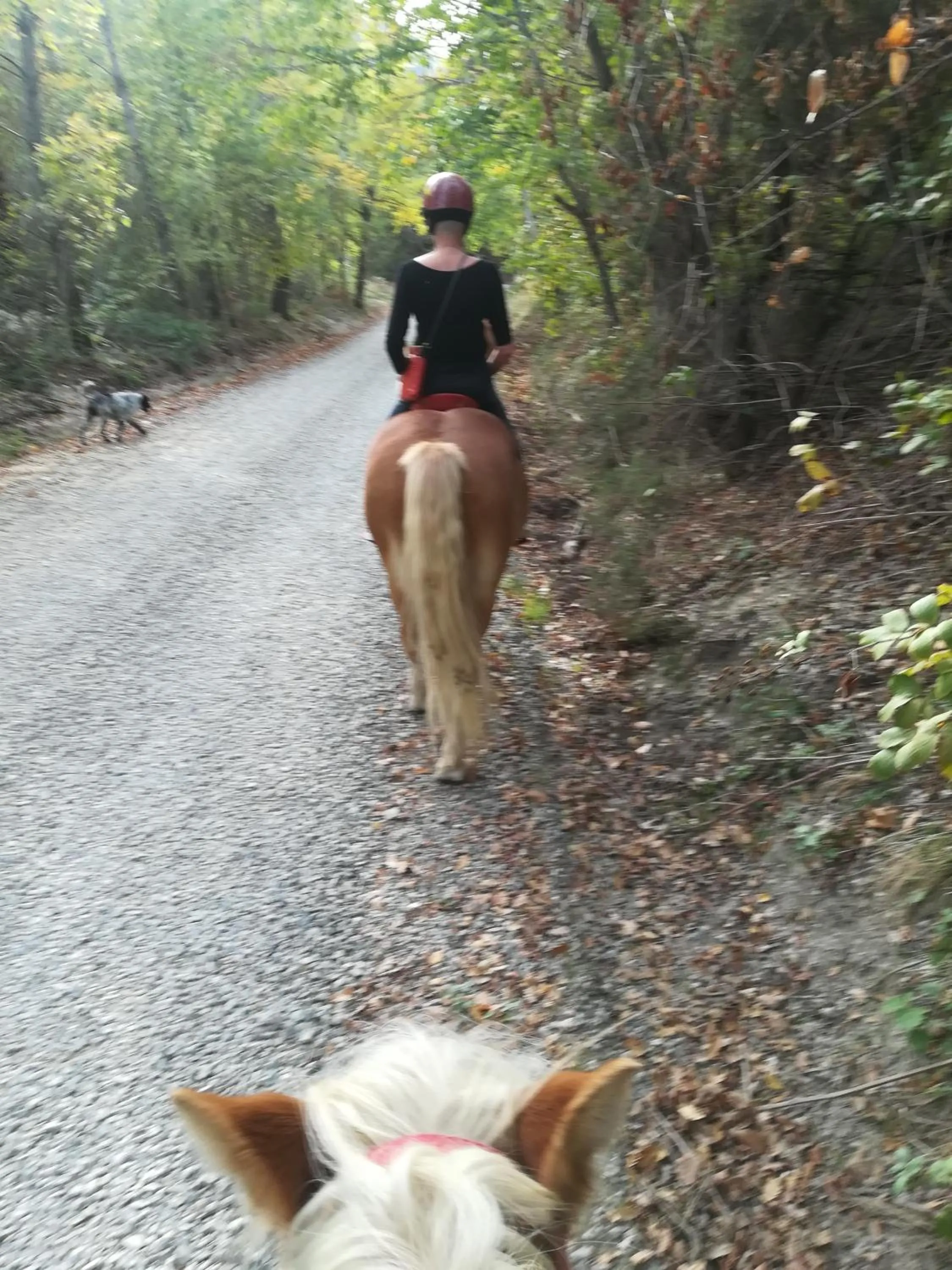 Horse-riding in Monte Termine Country House