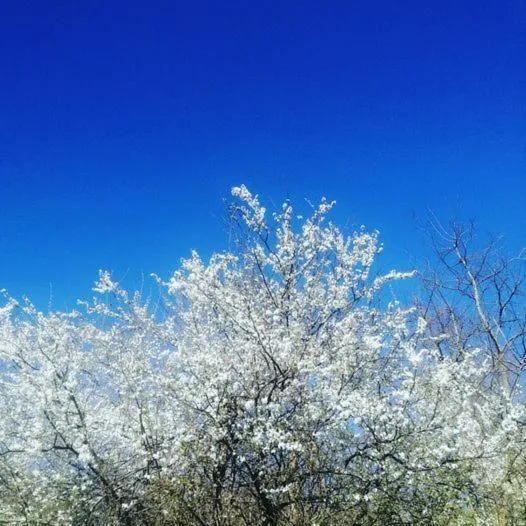 Monte Termine Country House