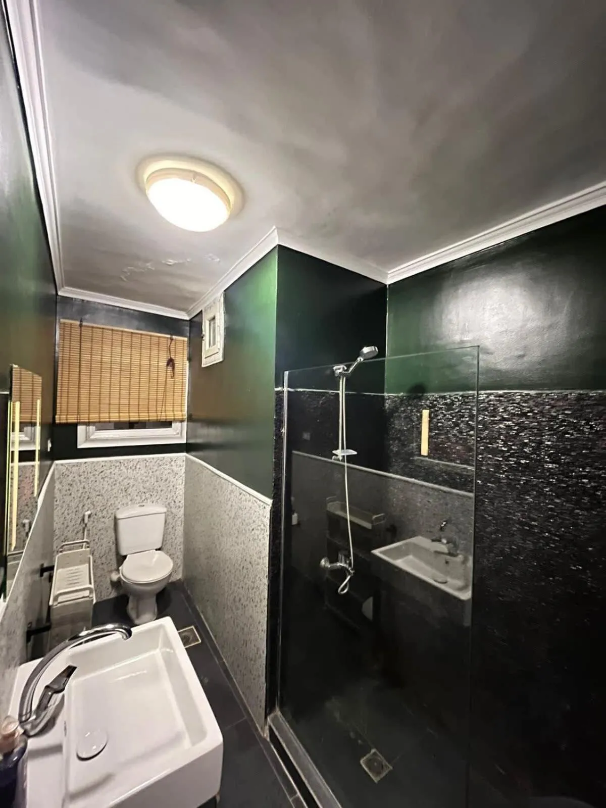 Zamalek hotel apartment 2BR