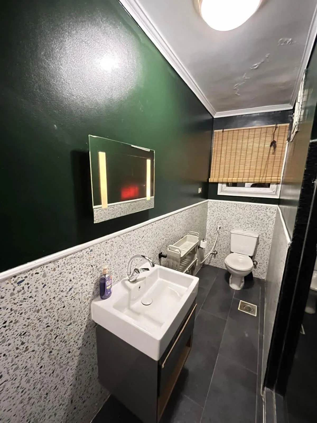 Zamalek hotel apartment 2BR