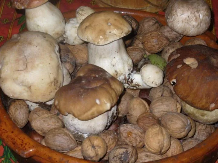 La Posada de Pedrazales