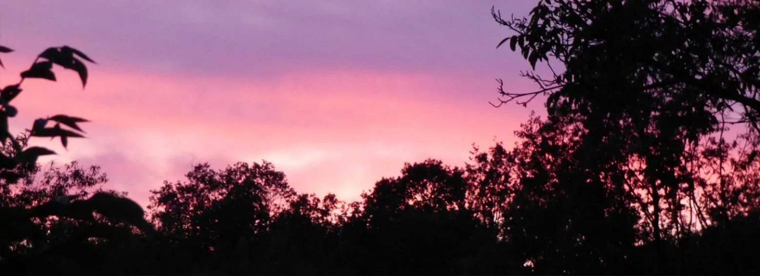 Natural landscape in La Posada de Pedrazales