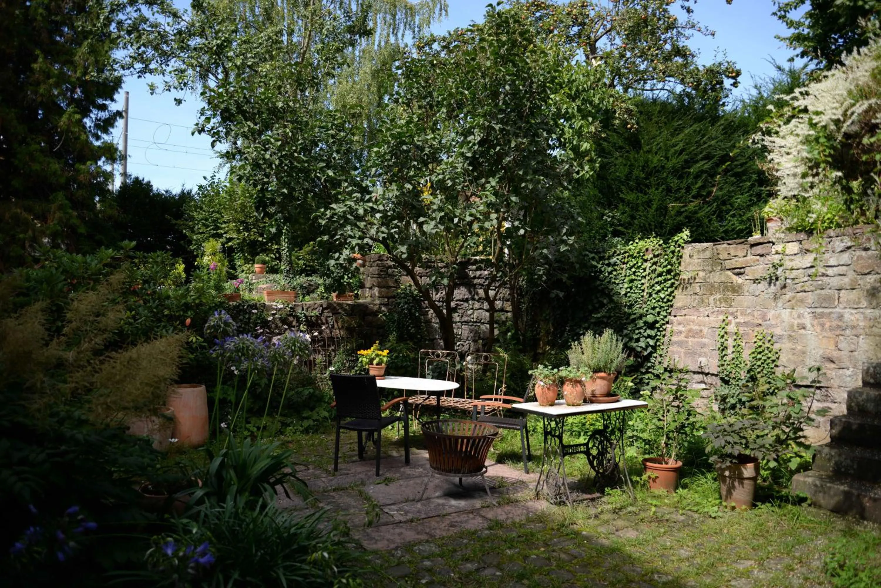 Alte Apotheke Bed & Breakfast