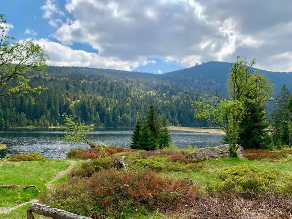 Hotel Waldfrieden "Das kleine Hotel"