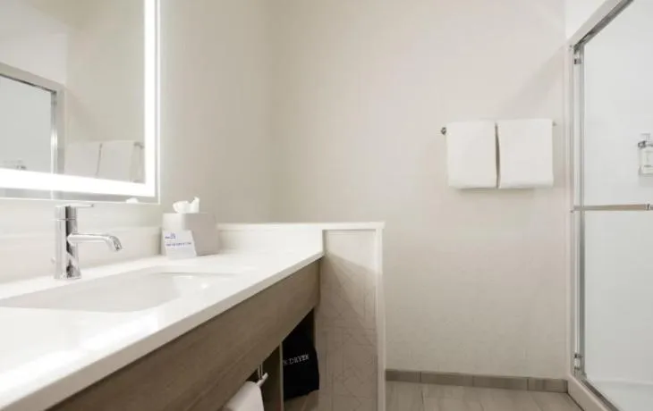 Bathroom in Holiday Inn Express & Suites Stevensville - Benton Harbor by IHG