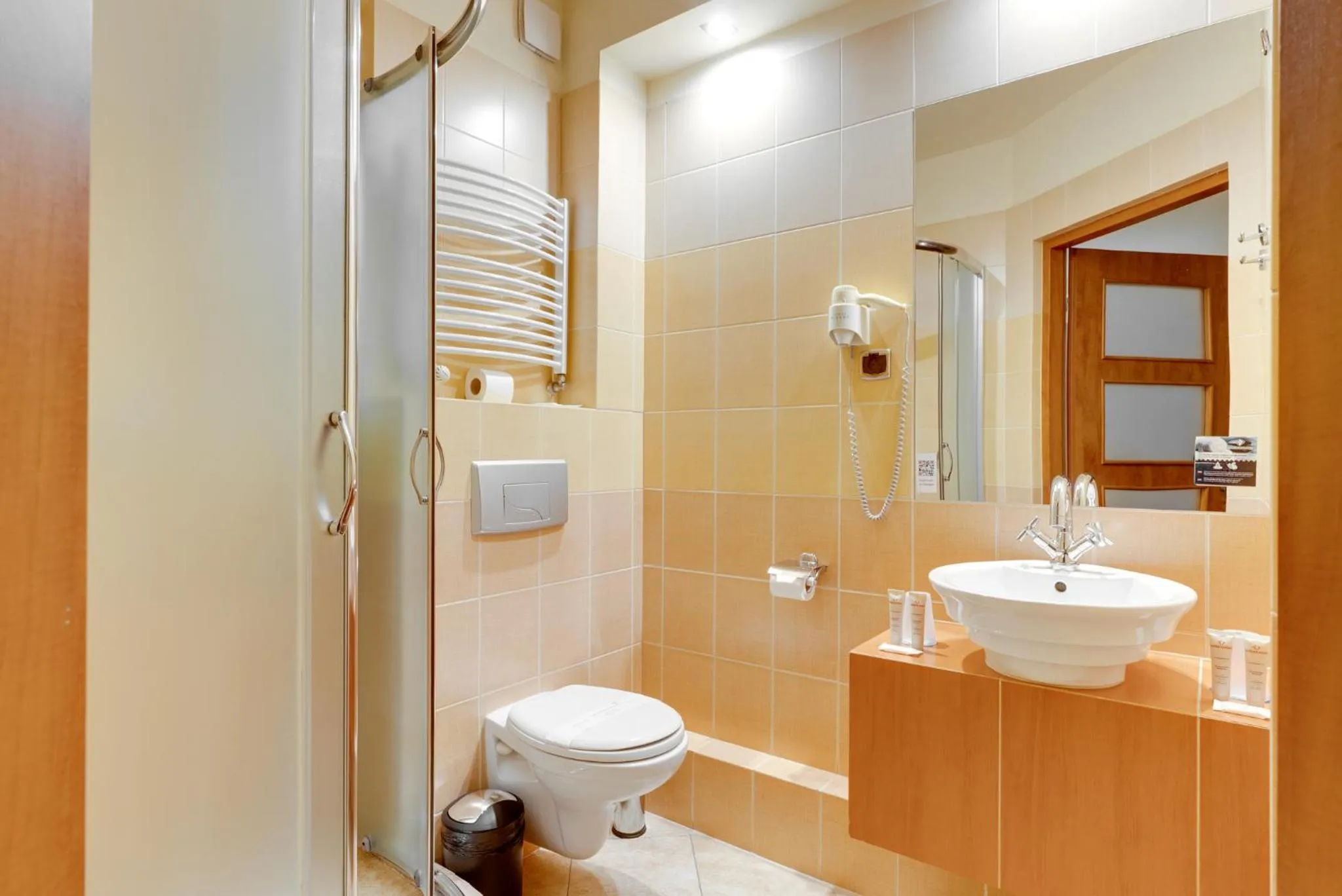Shower in Hotel Diament Vacanza Katowice - Siemianowice