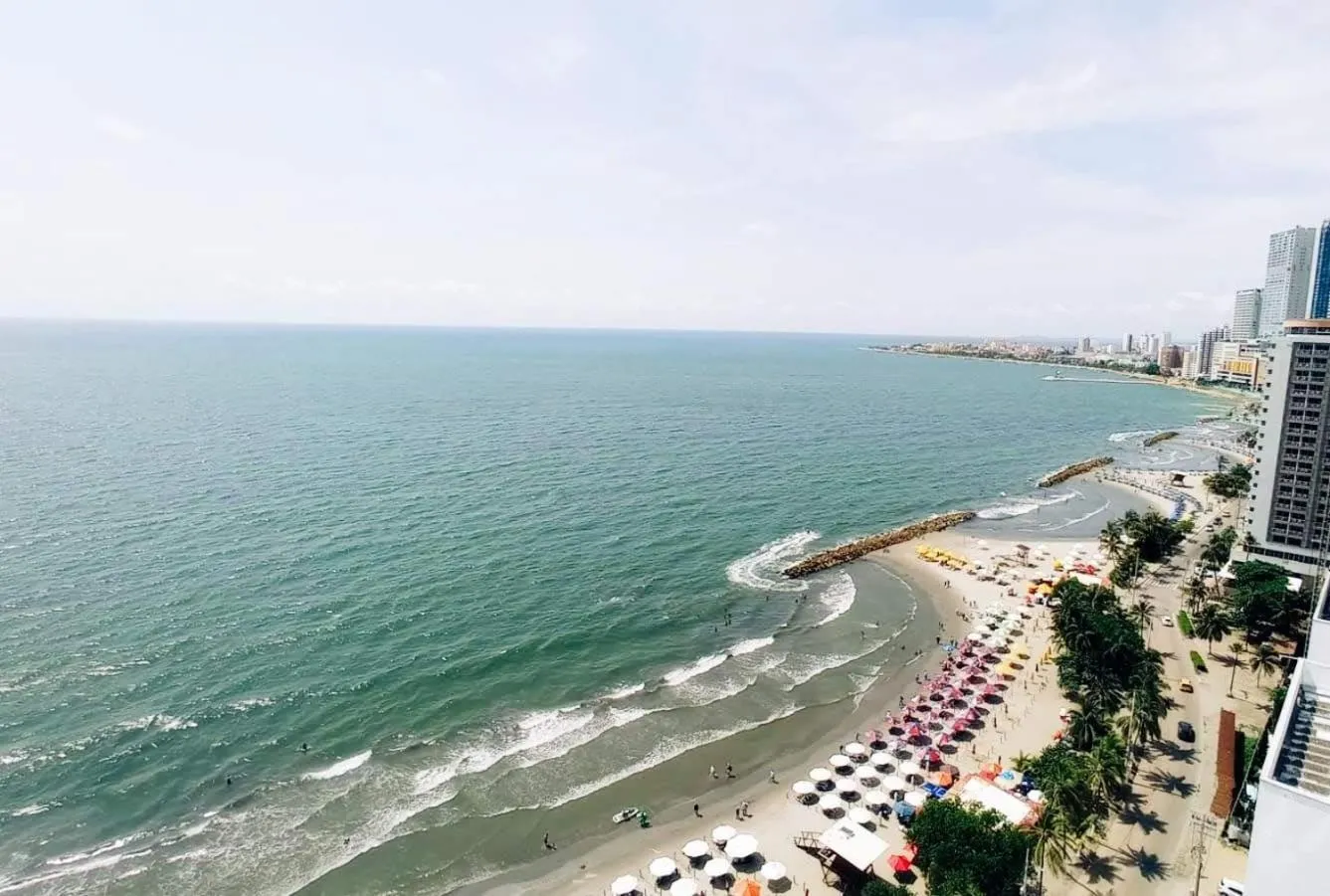 Palmetto Eliptic - Frente al Mar