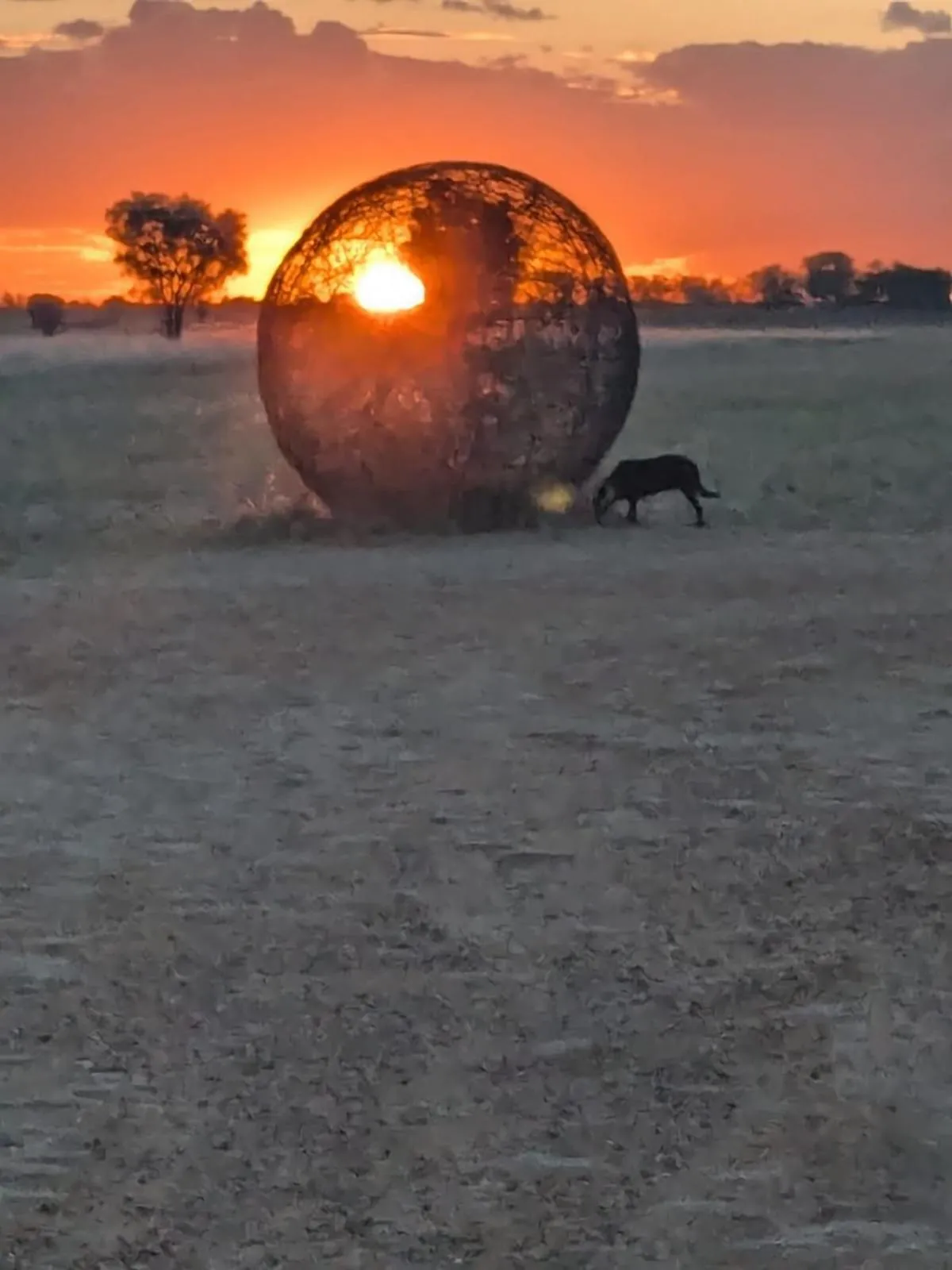 Blackall Caravan Park