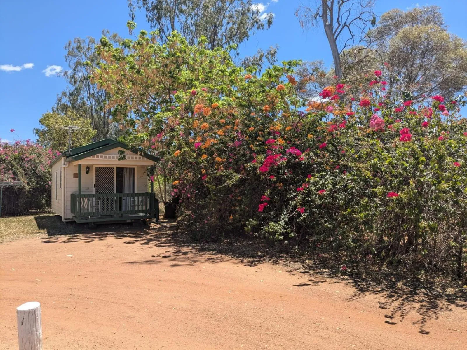 Garden view in Blackall Caravan Park