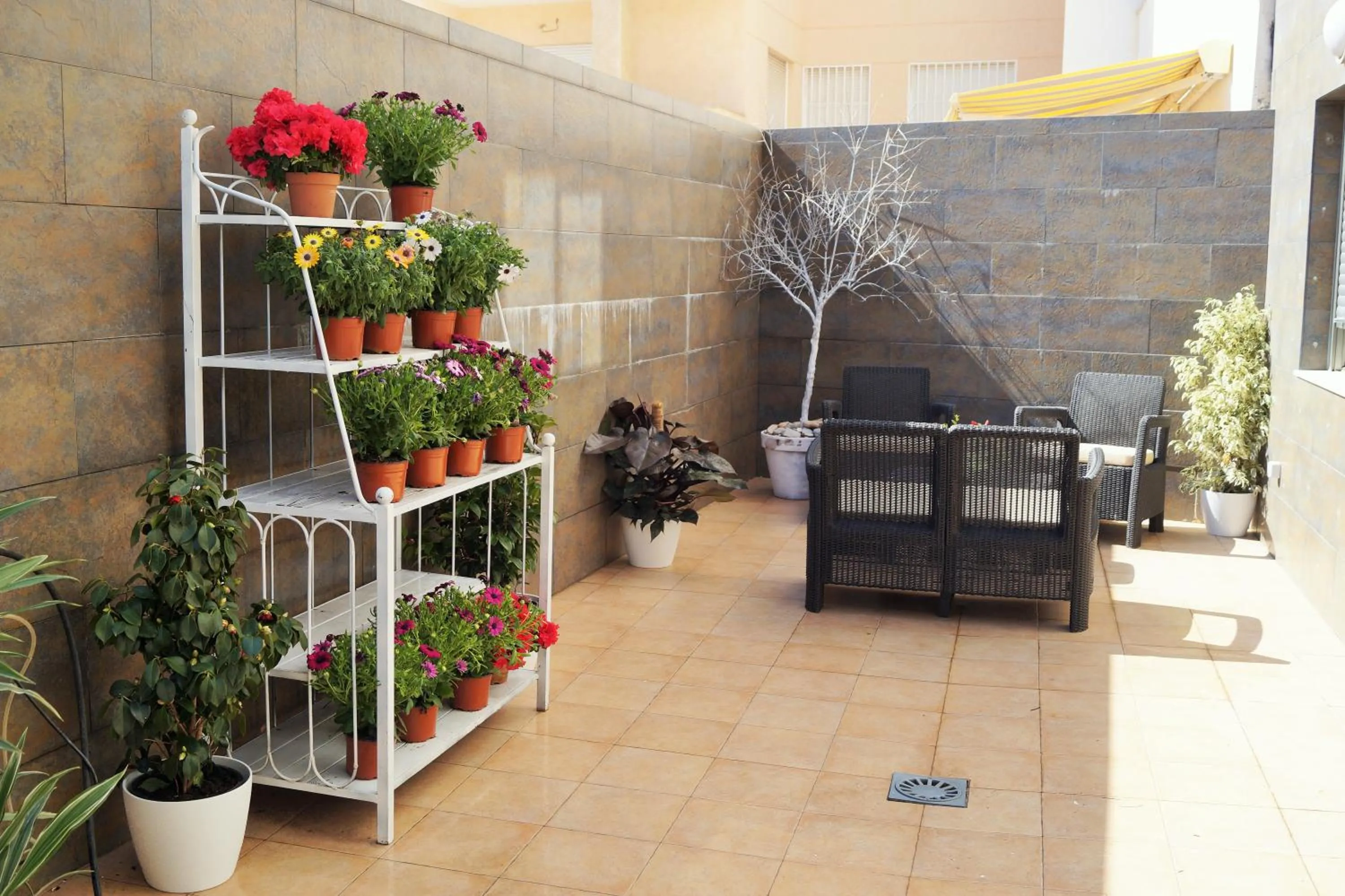 Balcony/Terrace in Mi Patio