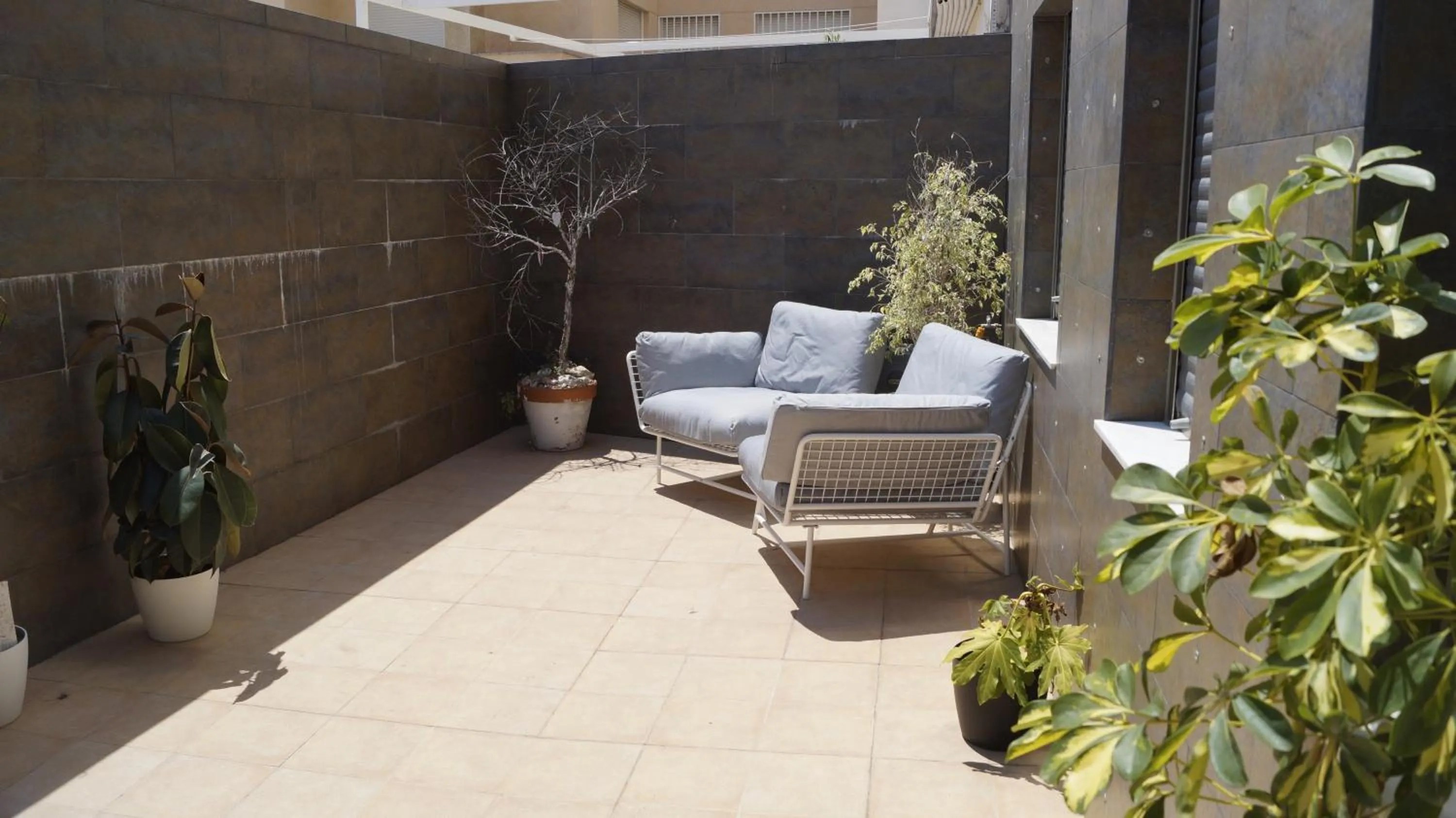 Patio in Mi Patio