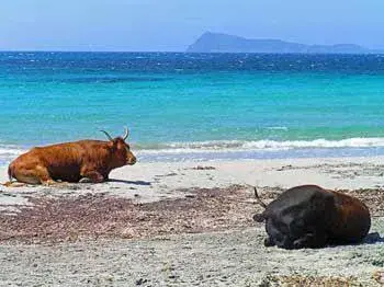 Tanca is Torus guest house Tanca is Torus guest house