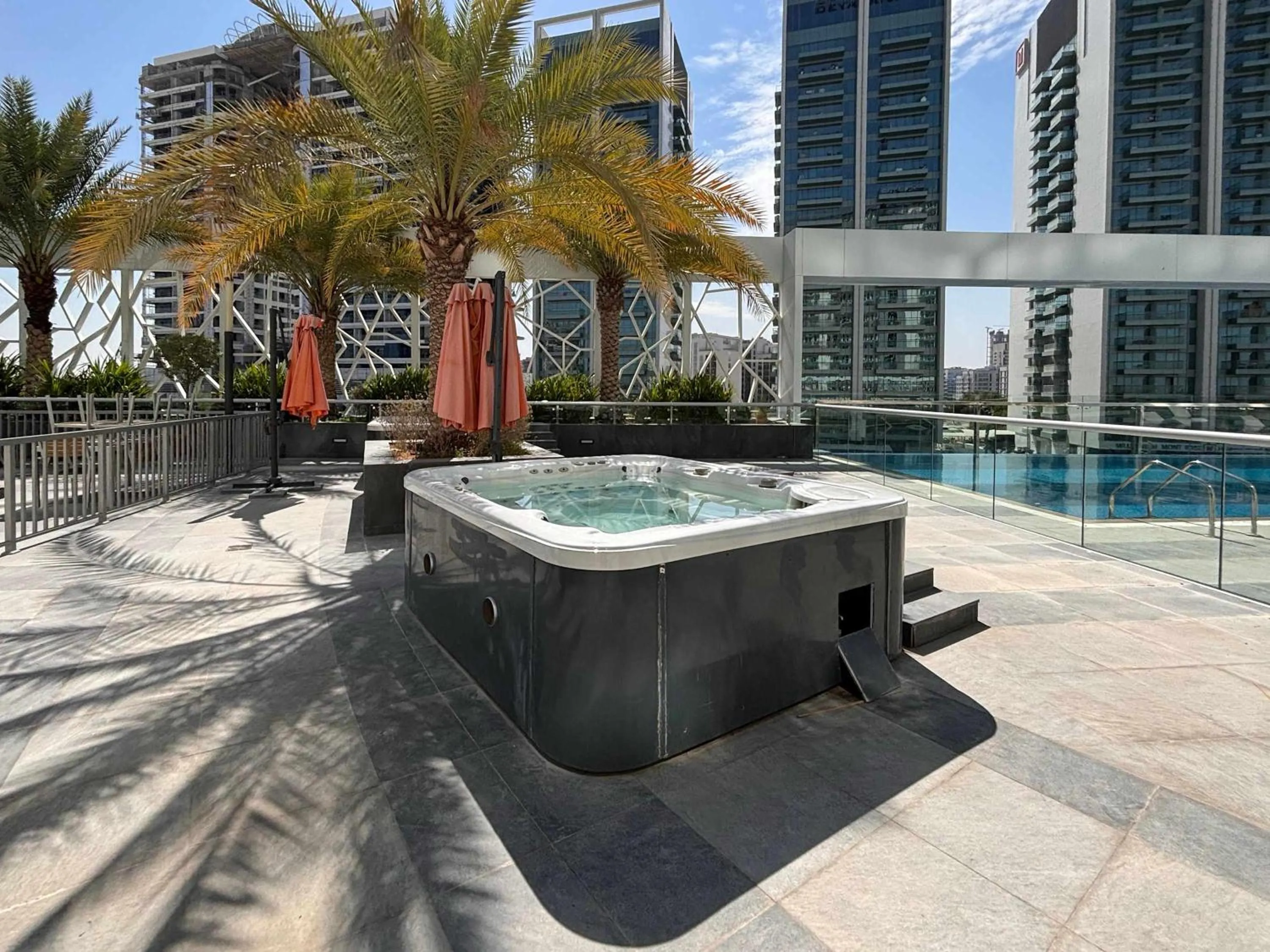 Frank Porter - Bella Rose