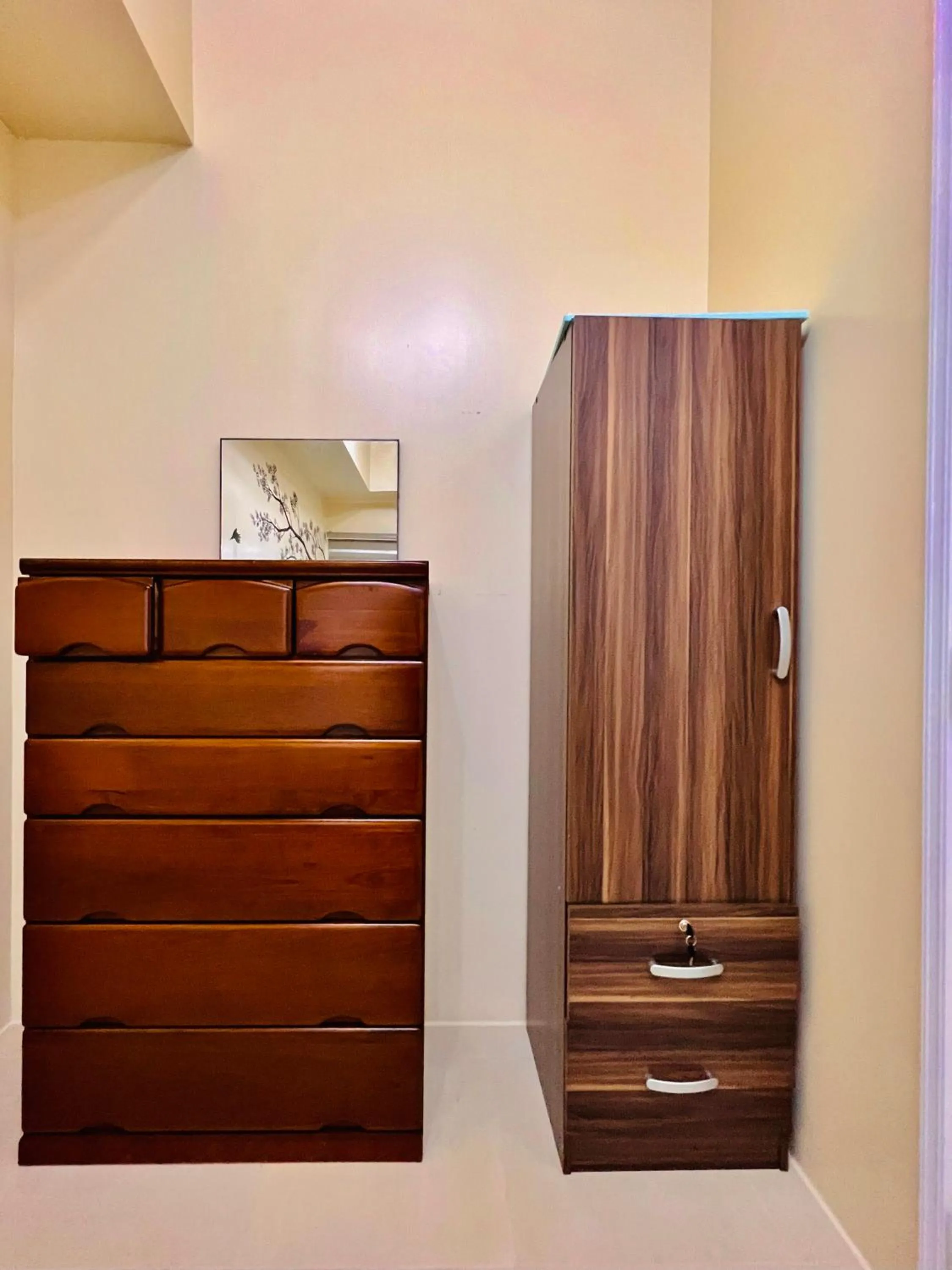 wardrobe in Avida Towers Atria