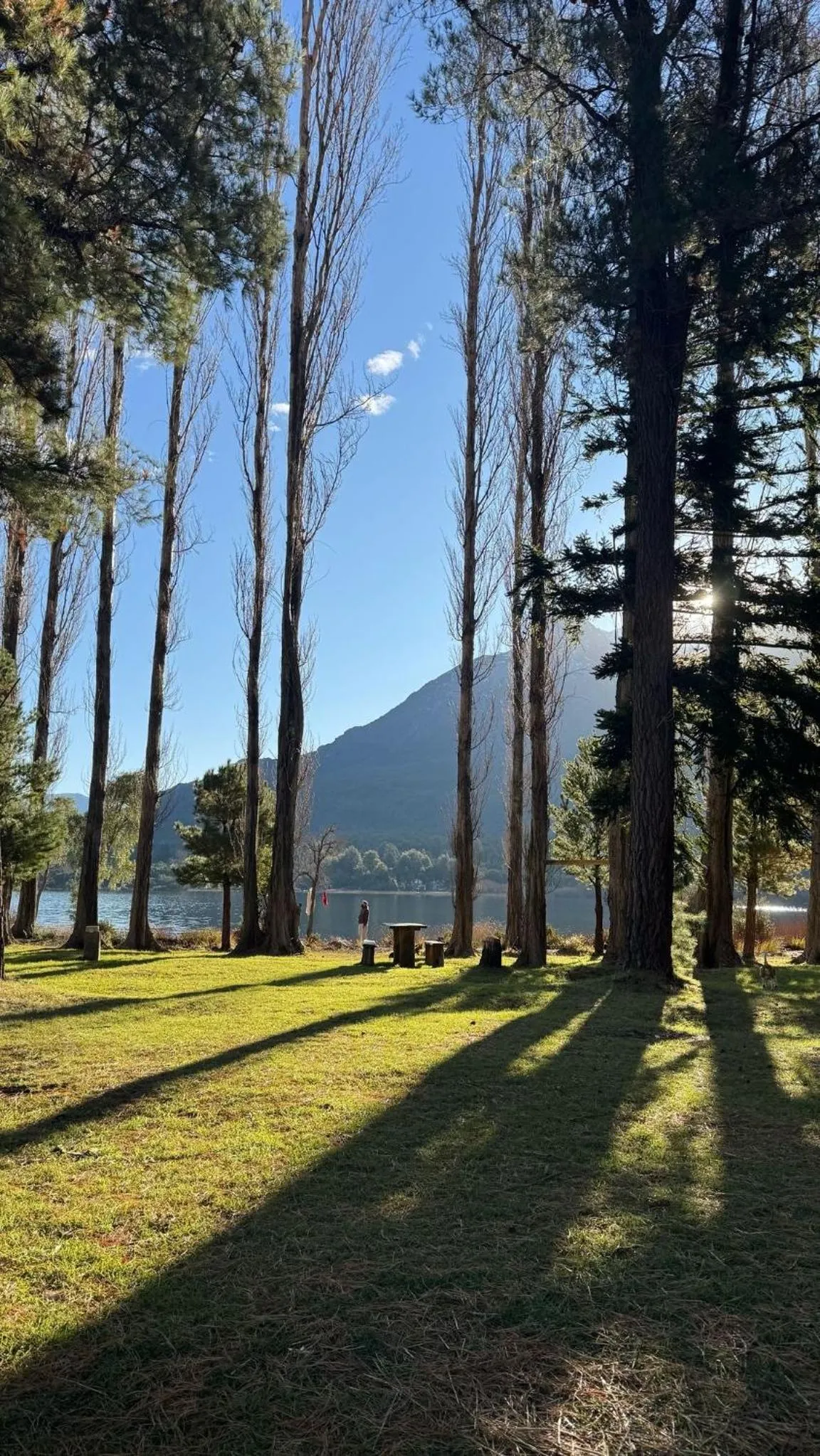 Miradas del lago