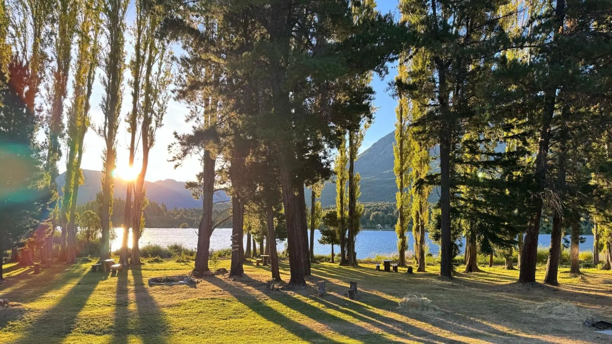 Miradas del lago