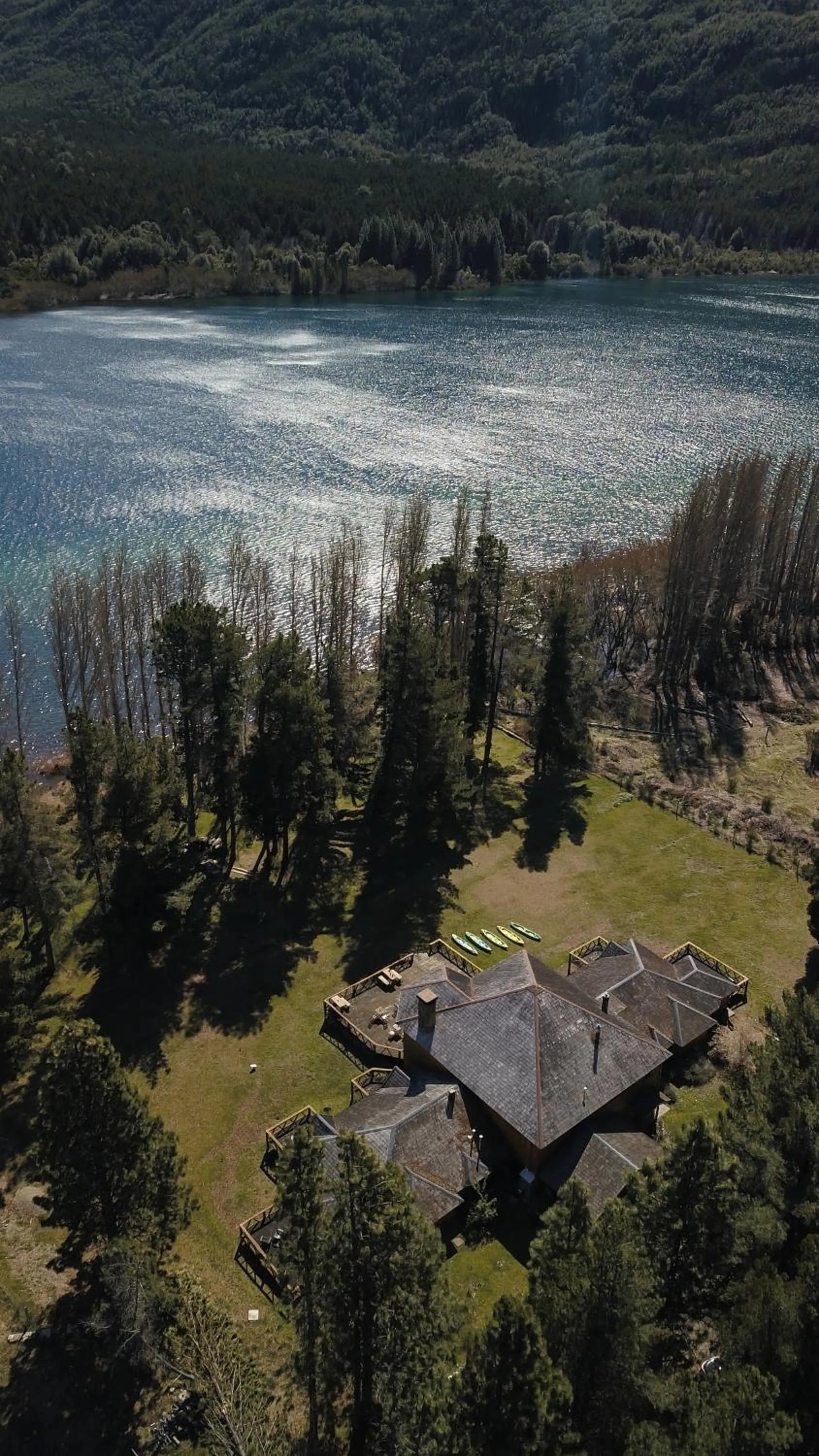 Miradas del lago