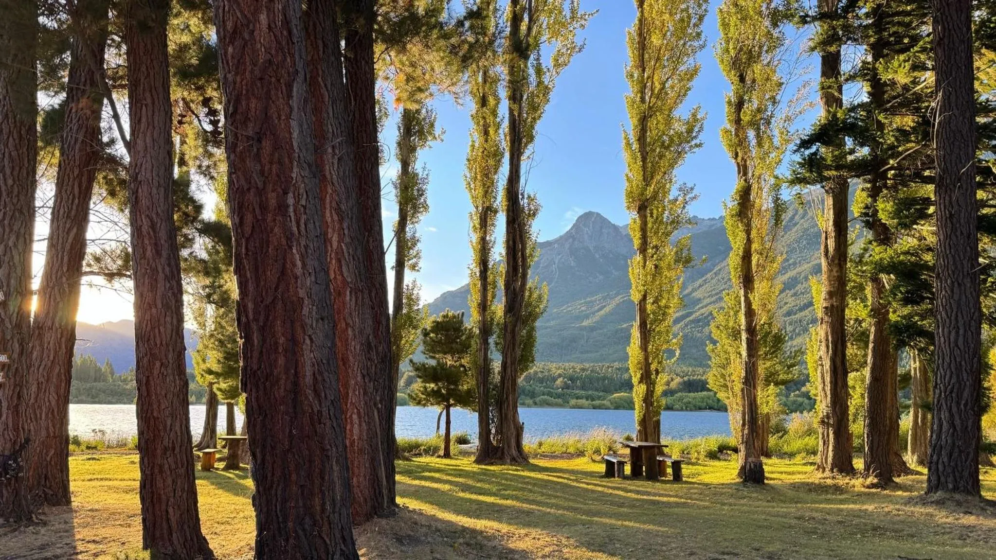 Miradas del lago