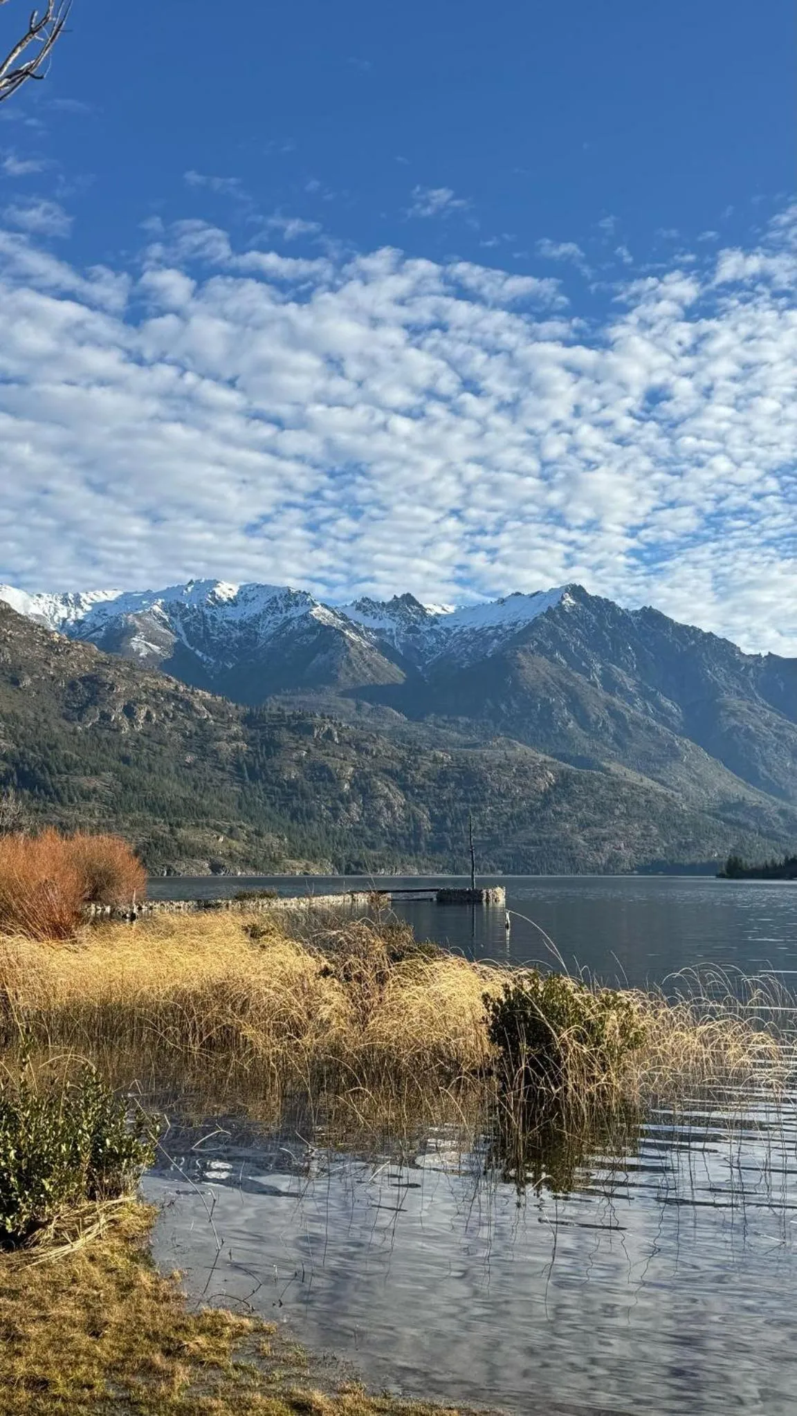 Miradas del lago