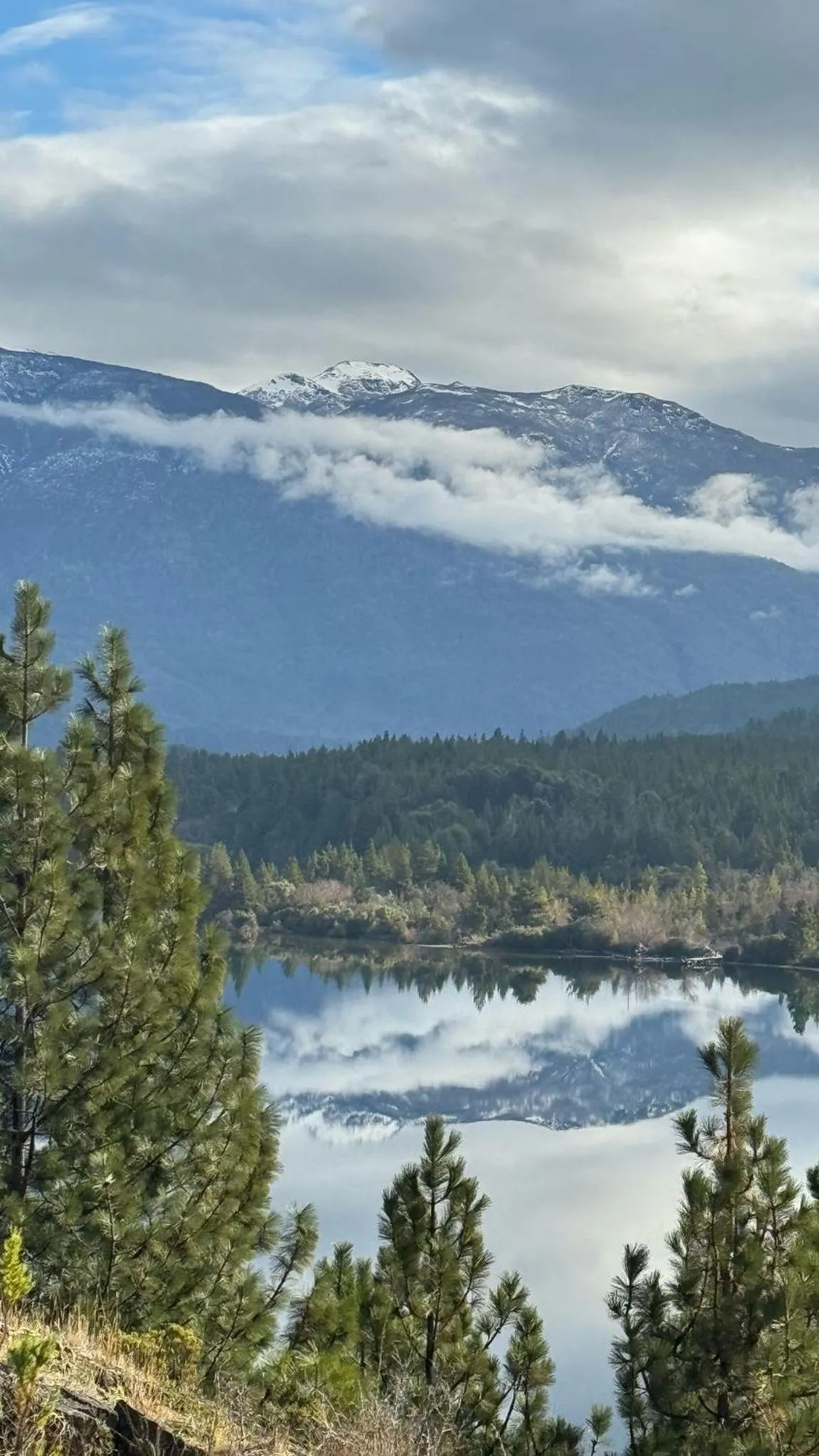Miradas del lago