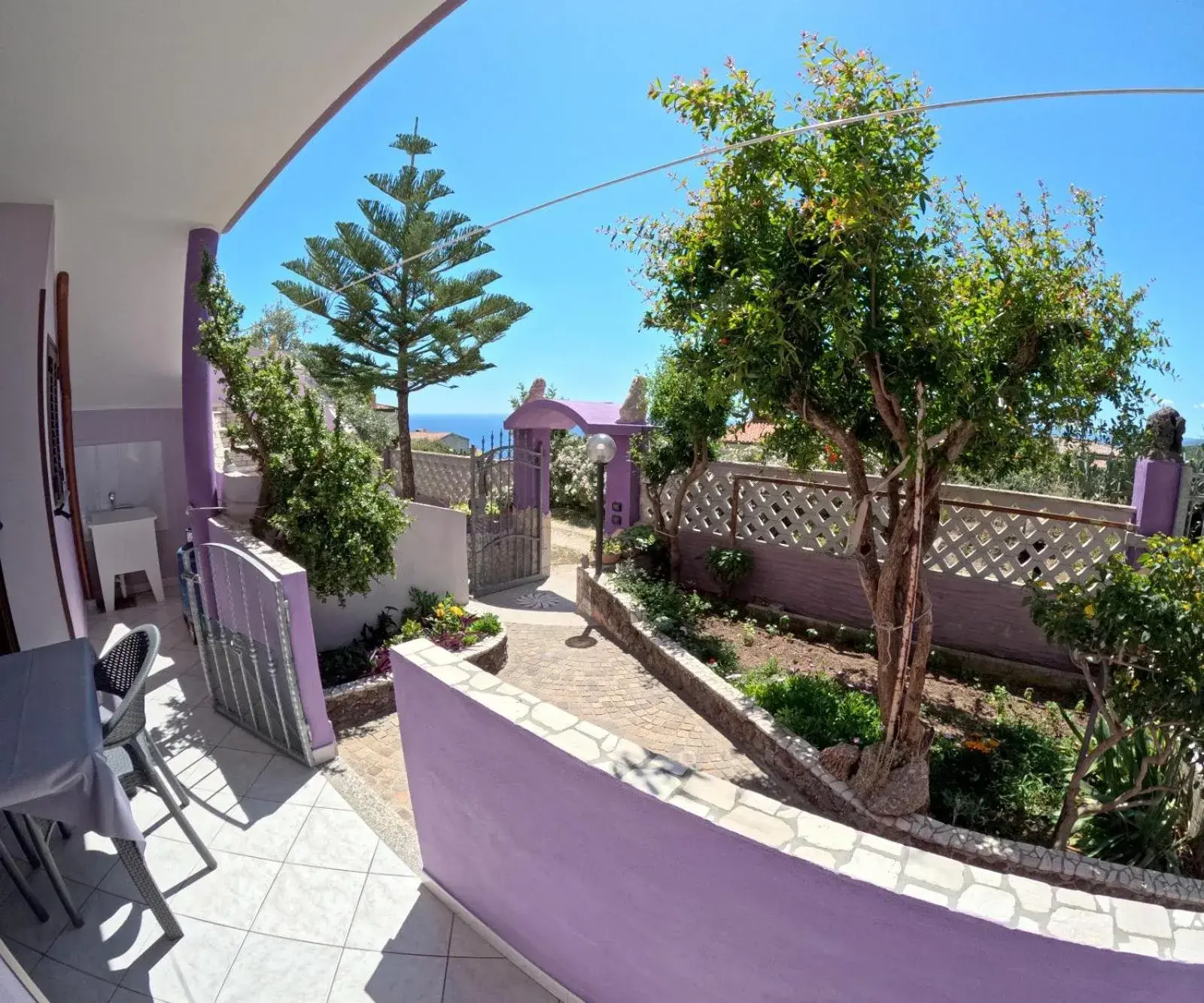 Casa Purple Casa Purple