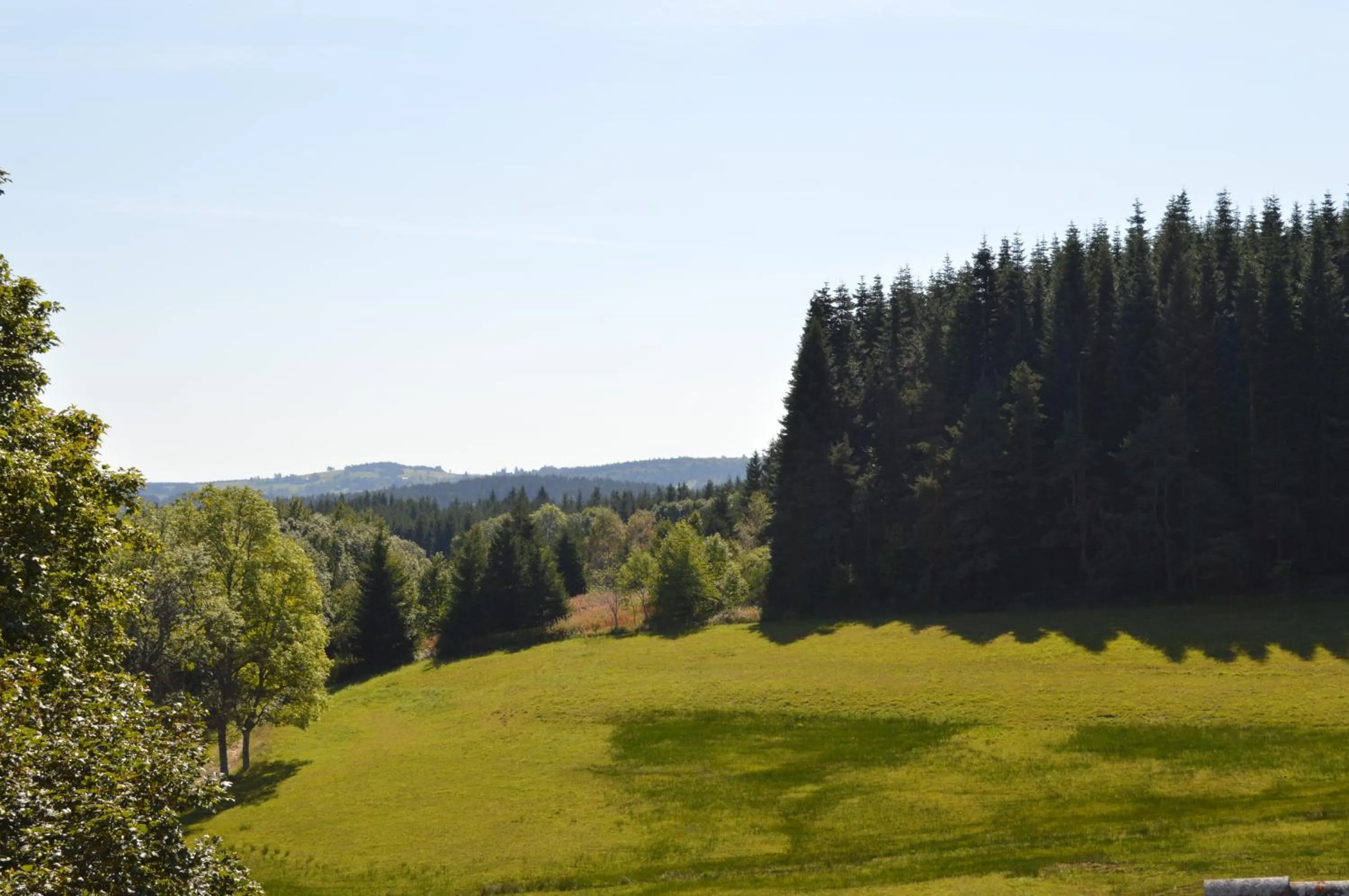 View (from property/room) in Logis Hôtel Le Relais du Bois Vialotte