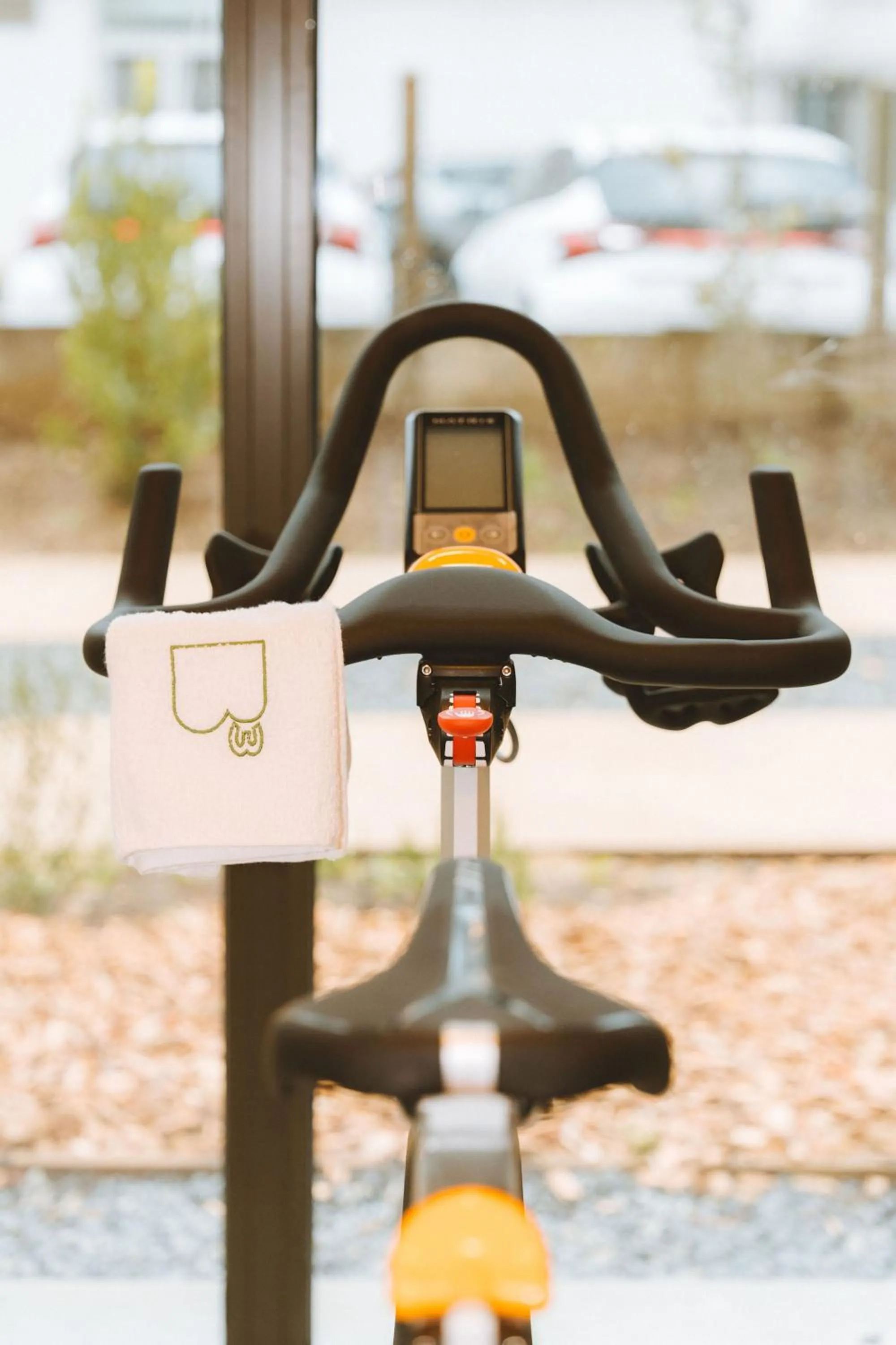 Fitness centre/facilities in Bikube Lyon