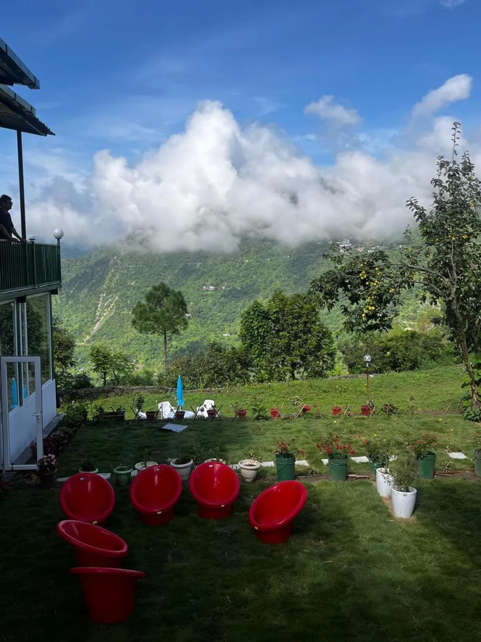 Garden in Bougainvilla Mountain Retreat, near Bhimtal
