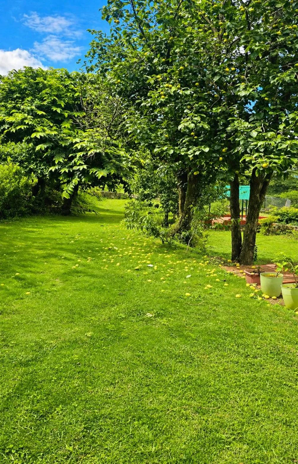 Garden view in Bougainvilla Mountain Retreat, near Bhimtal