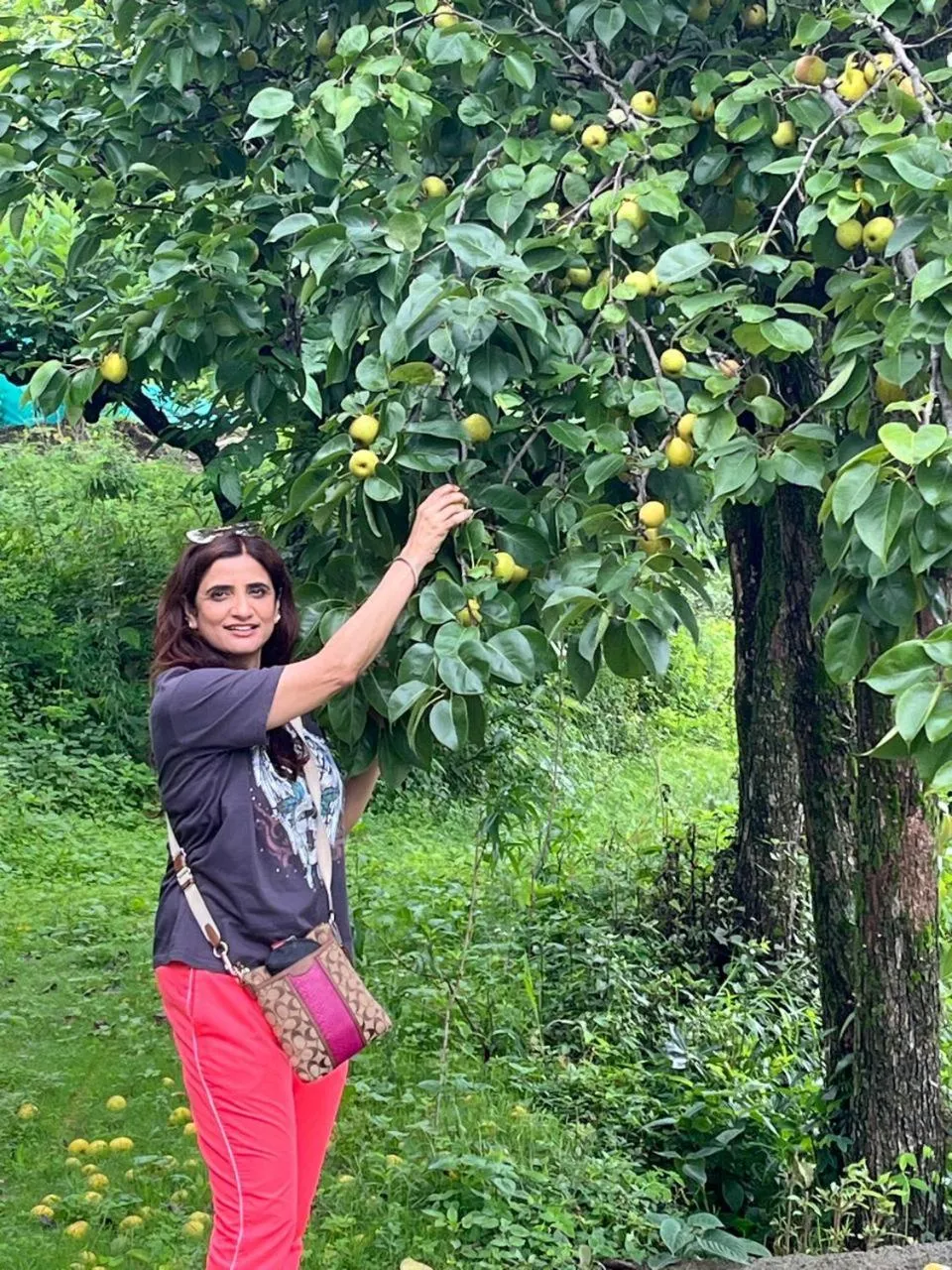 Garden in Bougainvilla Mountain Retreat, near Bhimtal
