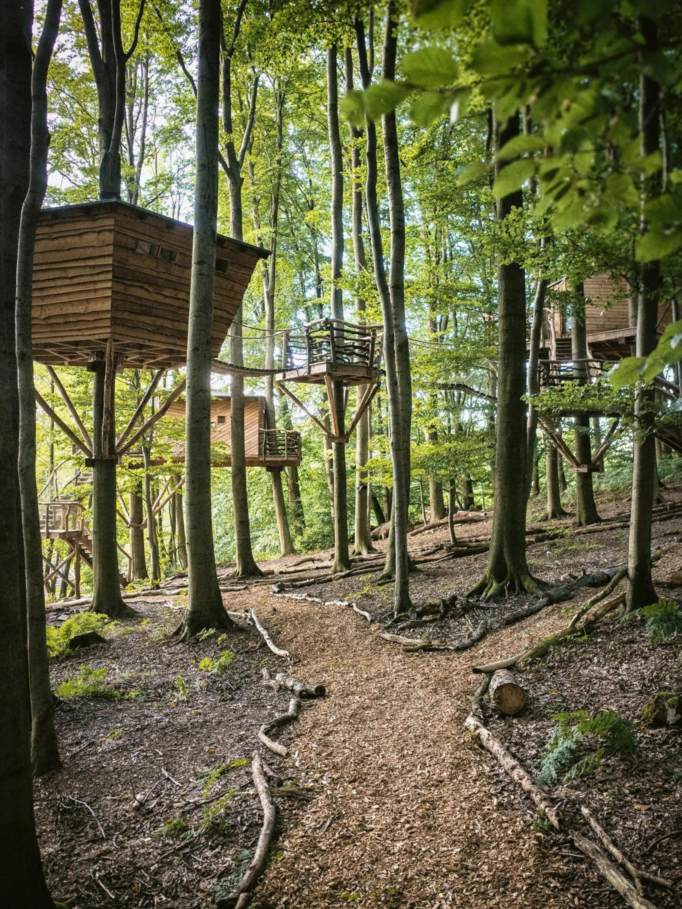 Baumhaushotel Robins Nest