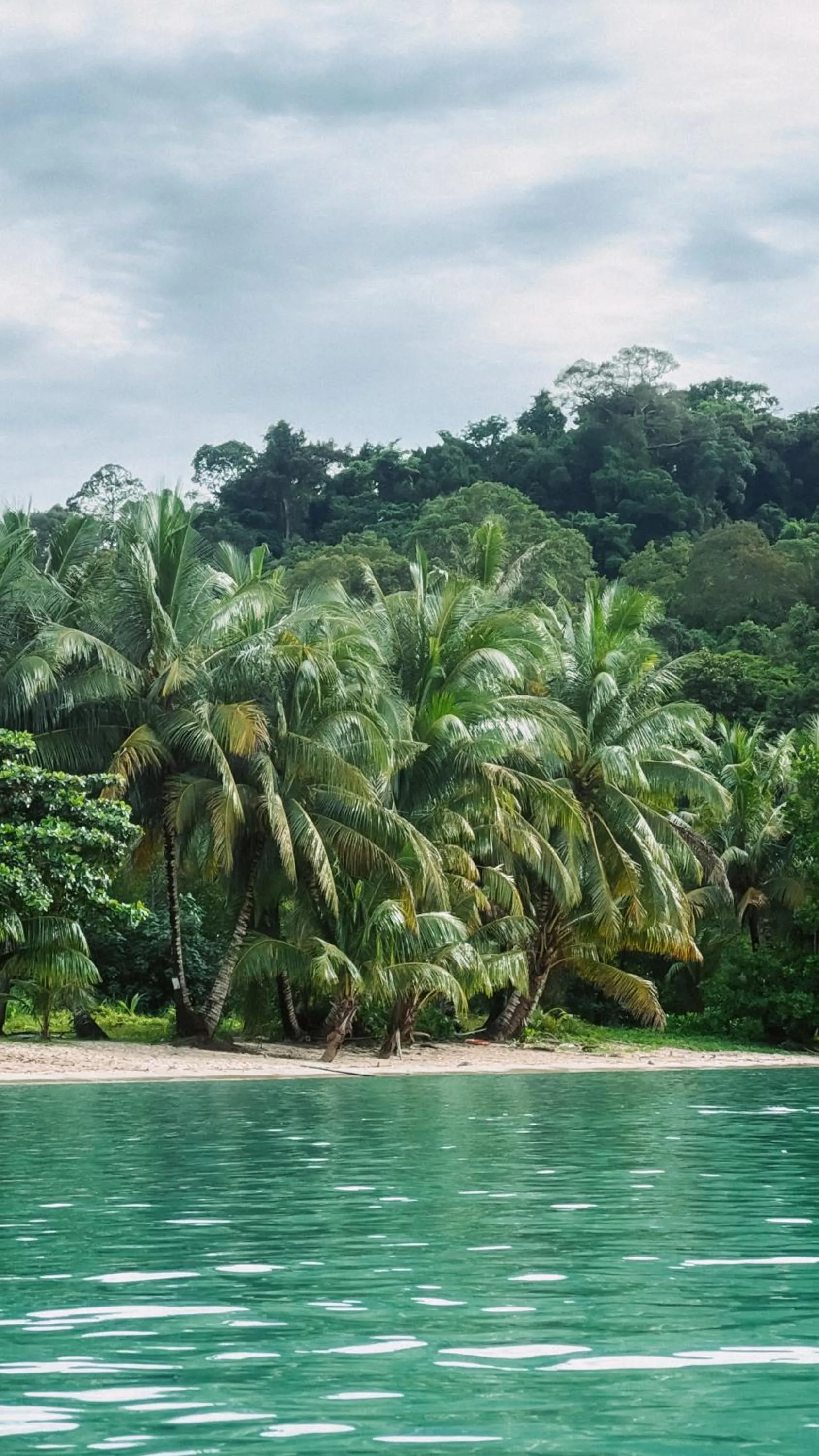 Sea view in Kood Life