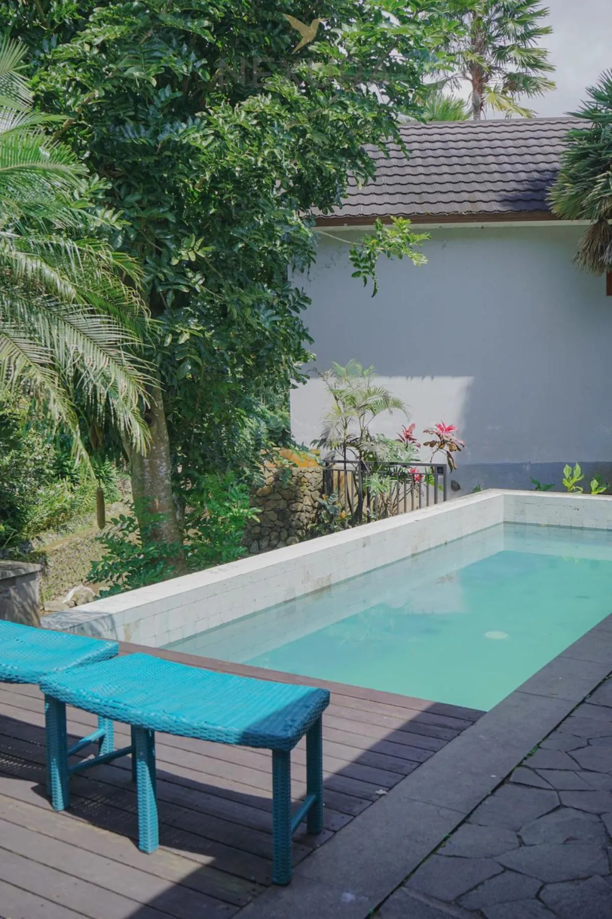 Jambu Klutuk Resort