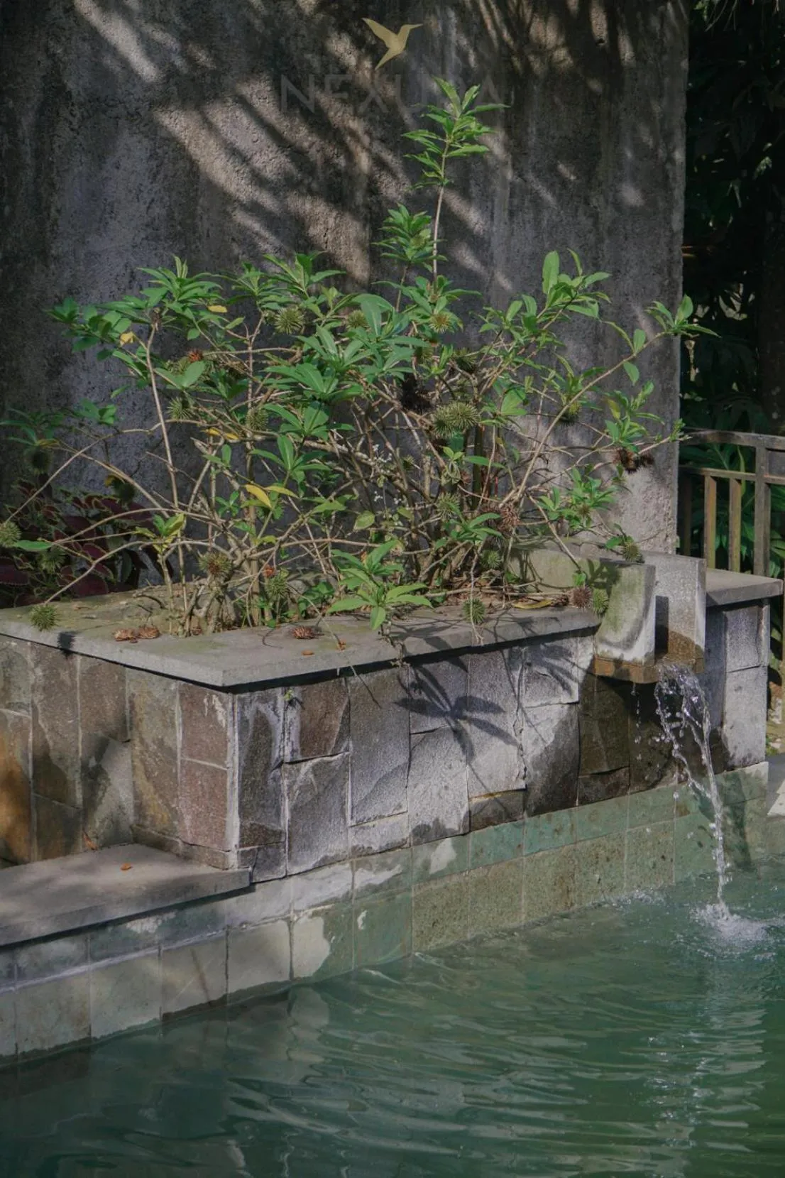 Jambu Klutuk Resort